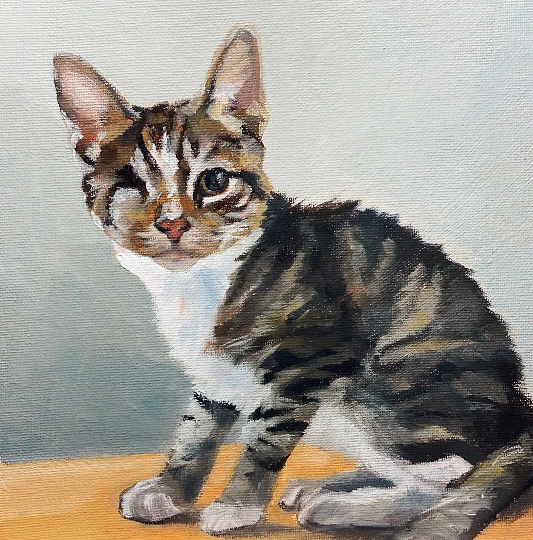 "Chips the Cat Memorial". 8"x8" Oil and Acrylic on Canvas. 2025.
