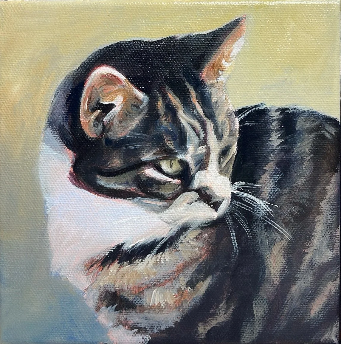 "Frankie, Neighbor Cat". 8"x8" Oil and Acrylic on canvas. 2026.