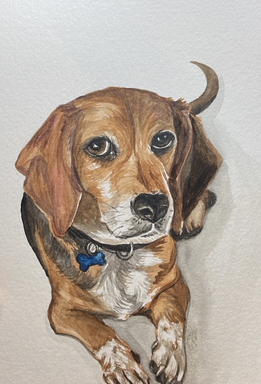 Original watercolor on paper. 9"x12". Custom dog portrait.