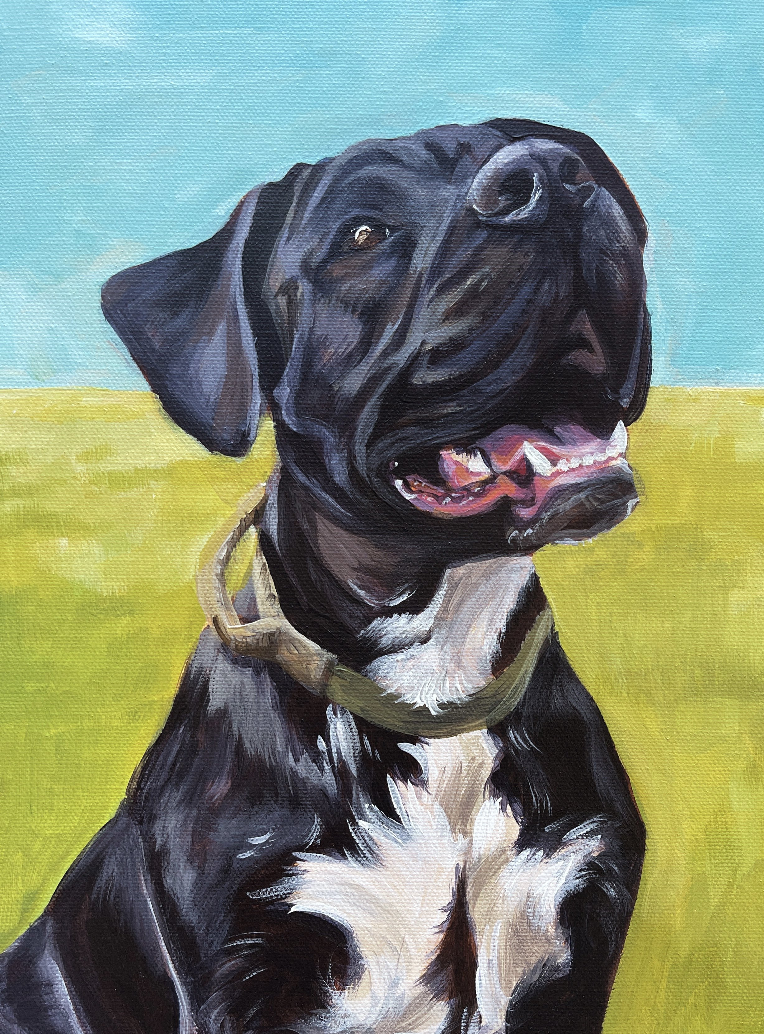 Original acrylic, custom dog portrait, 11"x14", 2024.