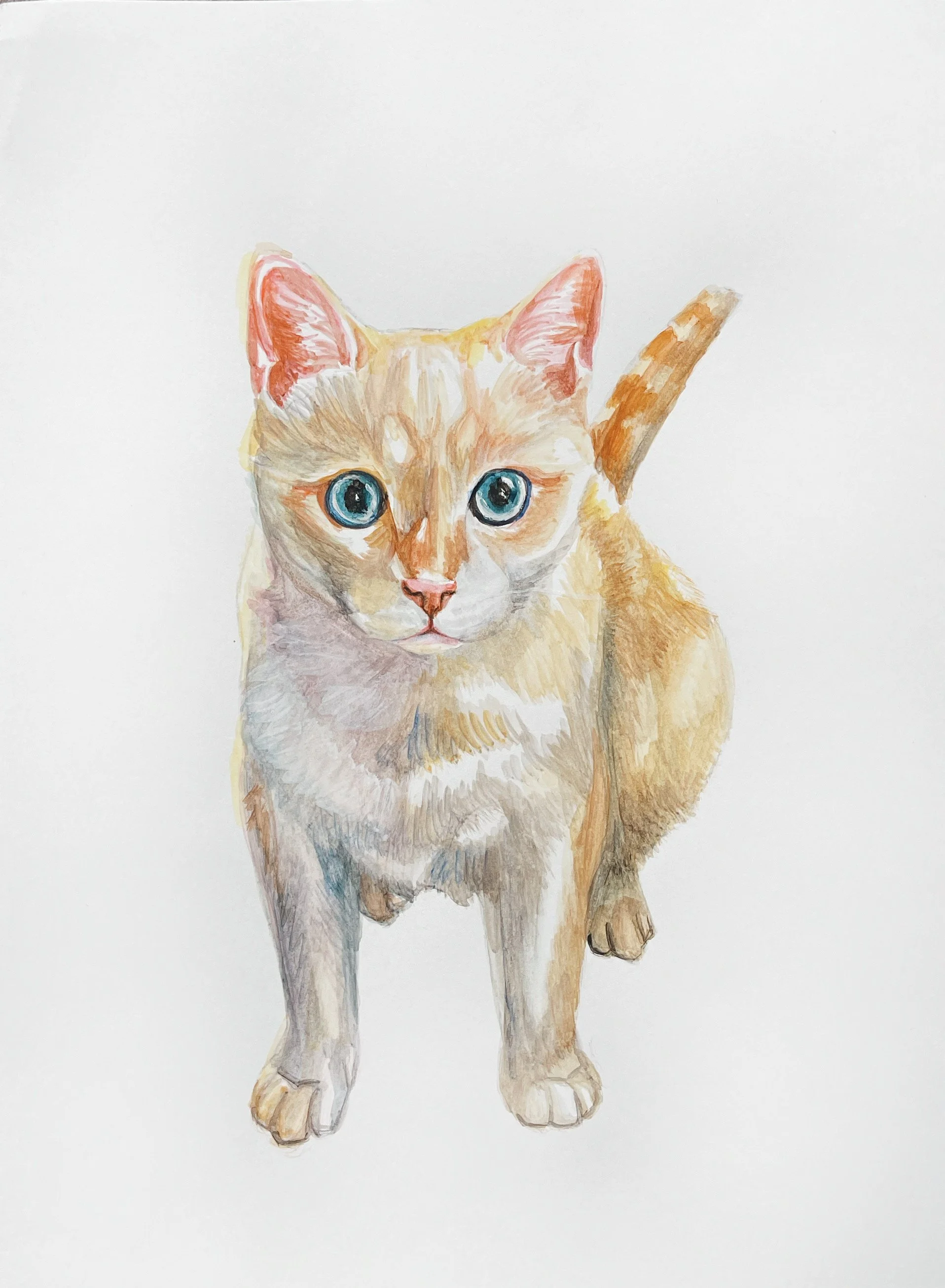 Original watercolor, 8"x10", custom cat portrait, 2023.