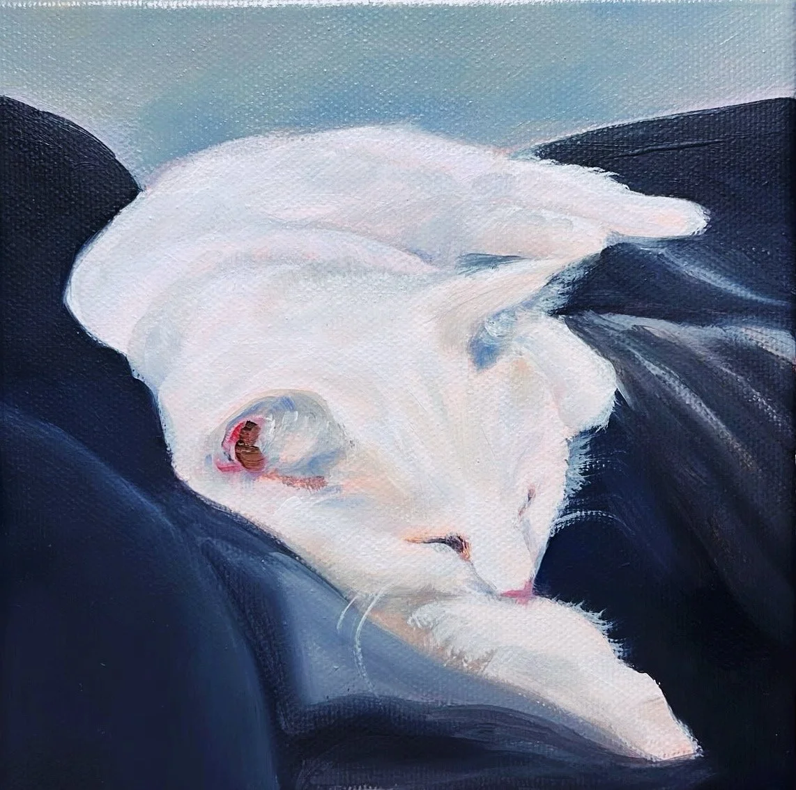 "Coco, Neighbor Cat". 8"x8" Oil and Acrylic on canvas. 2026.