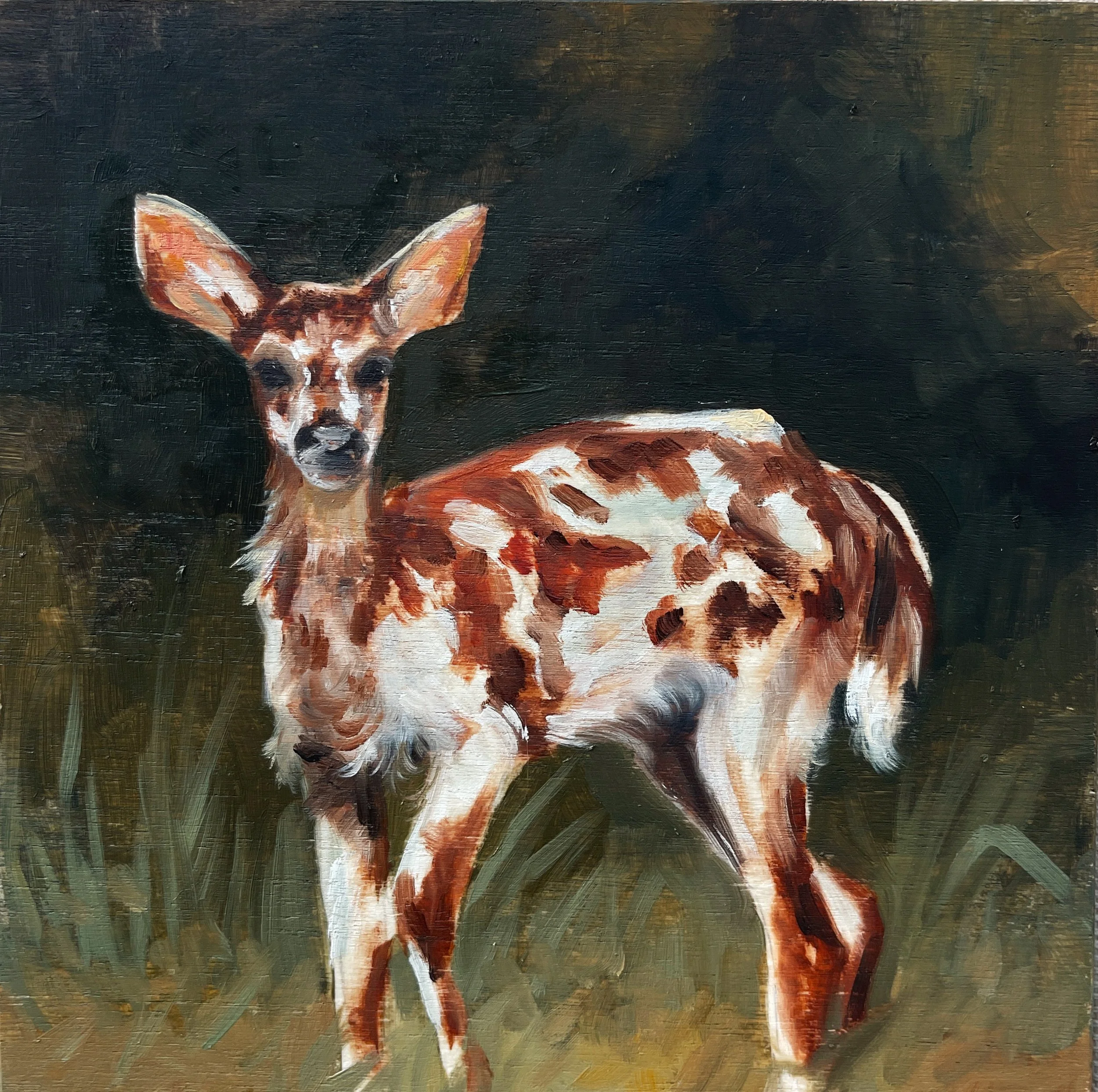 "Caught Between". 6"x6" Oil on Wood Panel. 2026. 