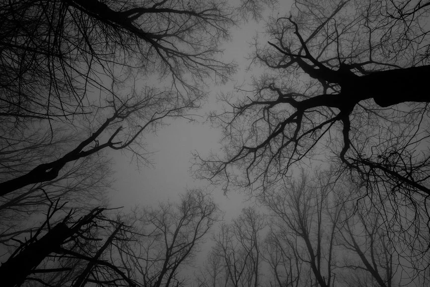 Colors in Darkness: Diversity in Horror, Paranormal & Dark Fantasy  