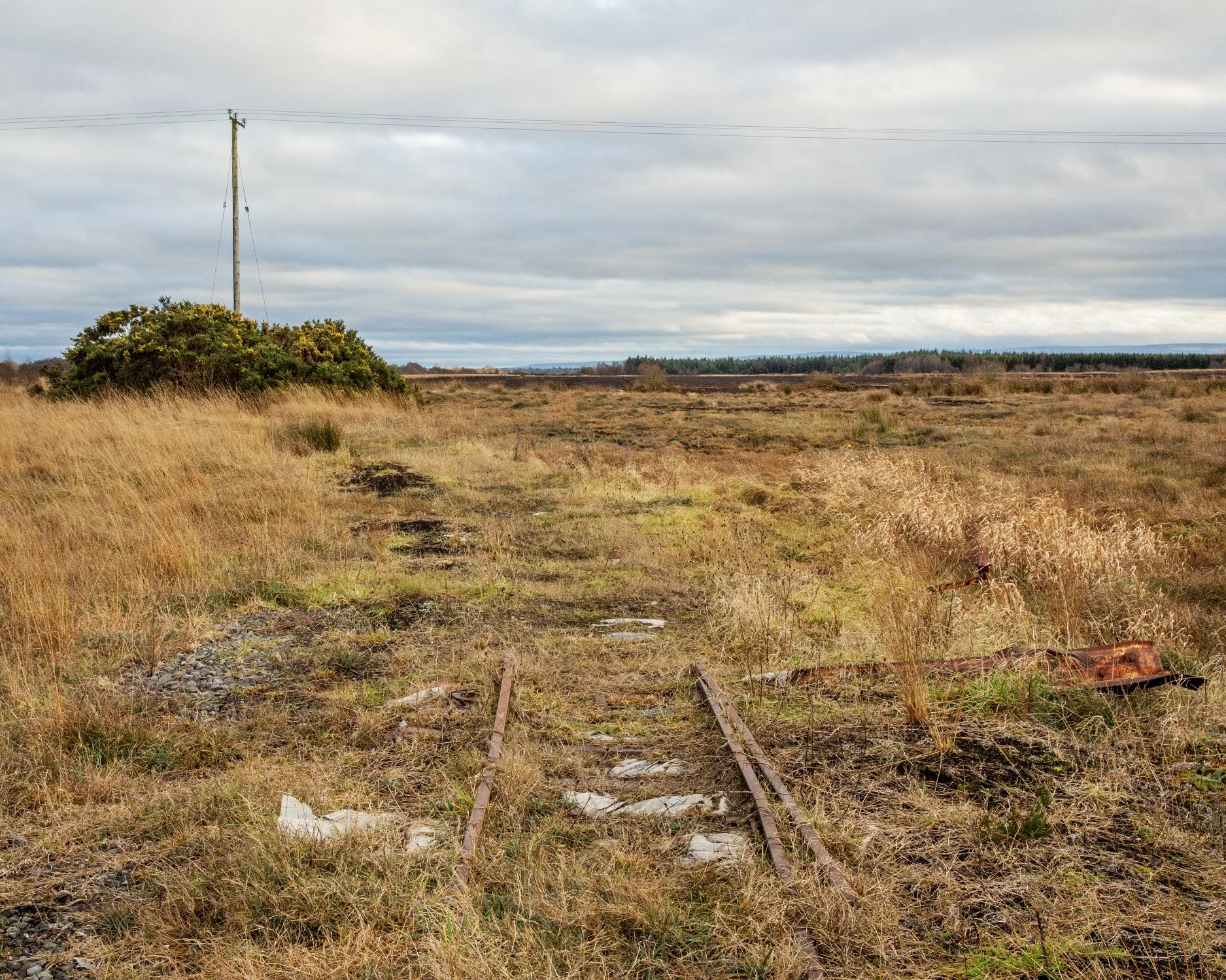 Lemanaghan Bog, Co. Offaly, 2023.