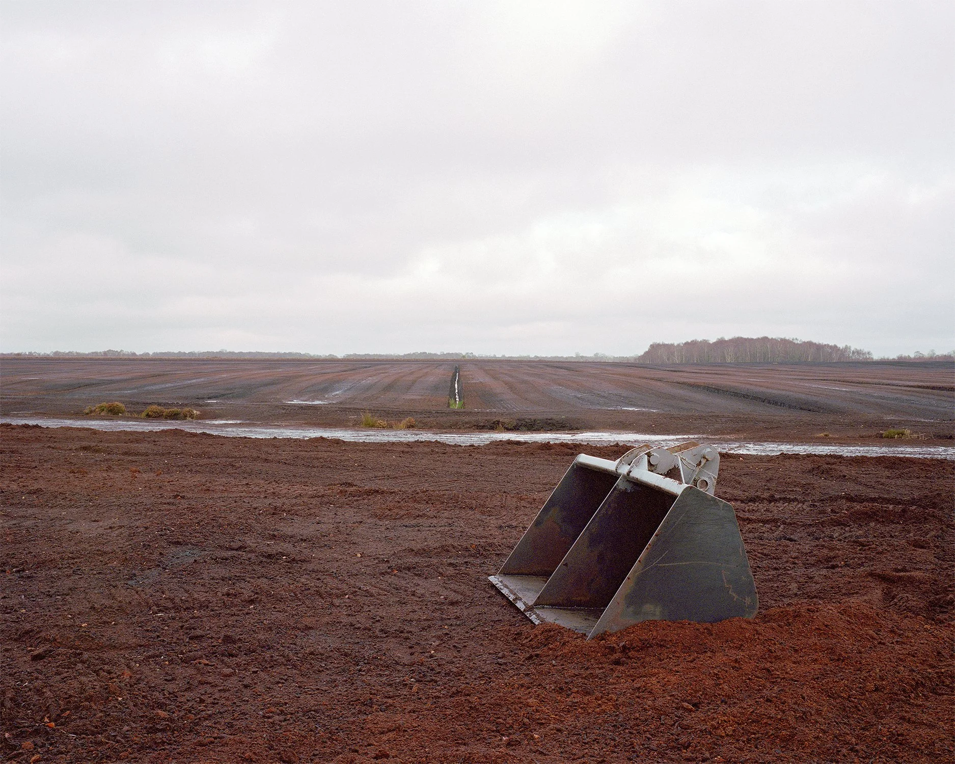Cadamstown bog, County Kildare, 2020.
