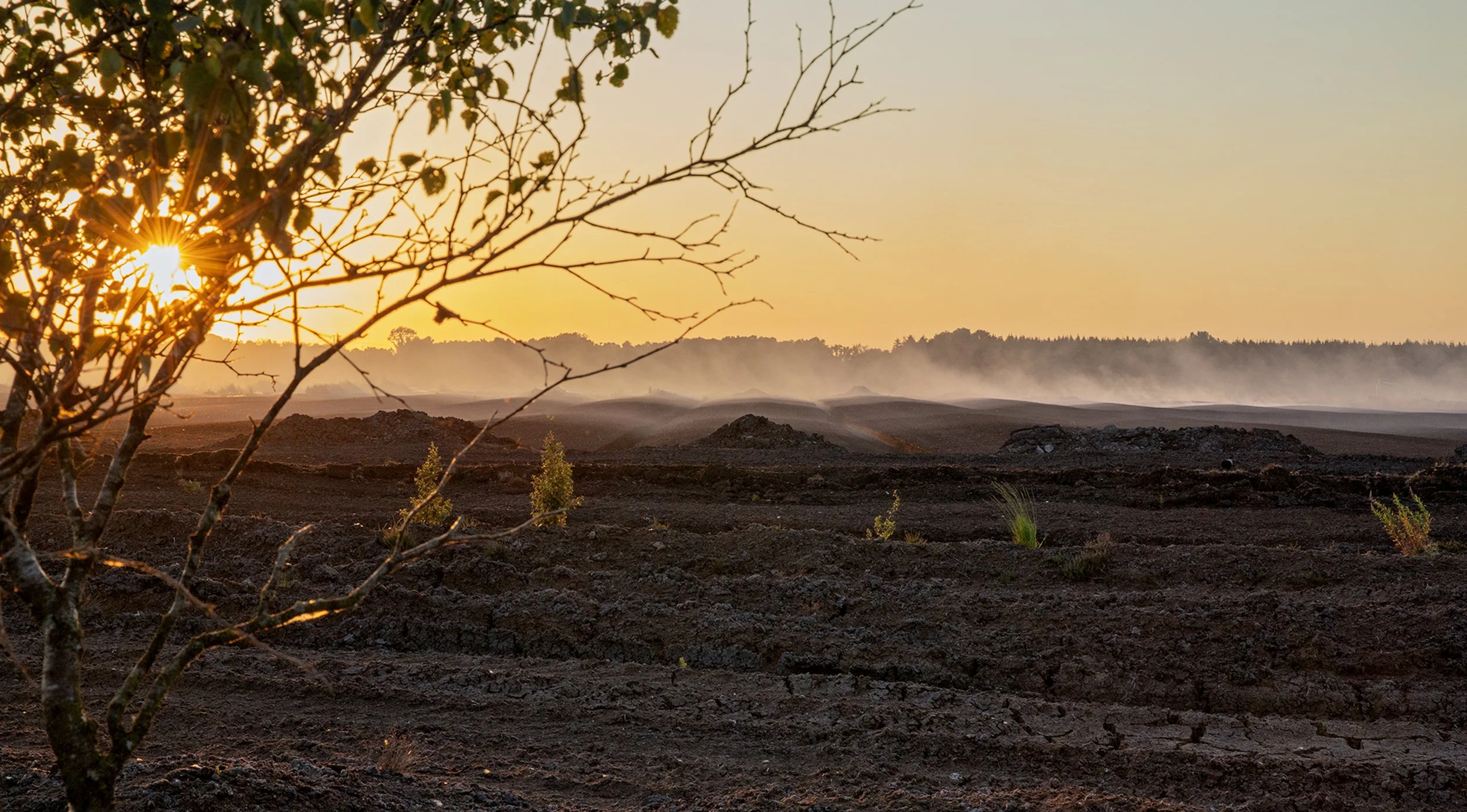 Bog Fire at Sunset #3, near Carbury, County Kildare, Ireland, 12th July 2026. Bealtaine miniseries within 'Beneath | Beofhód'.