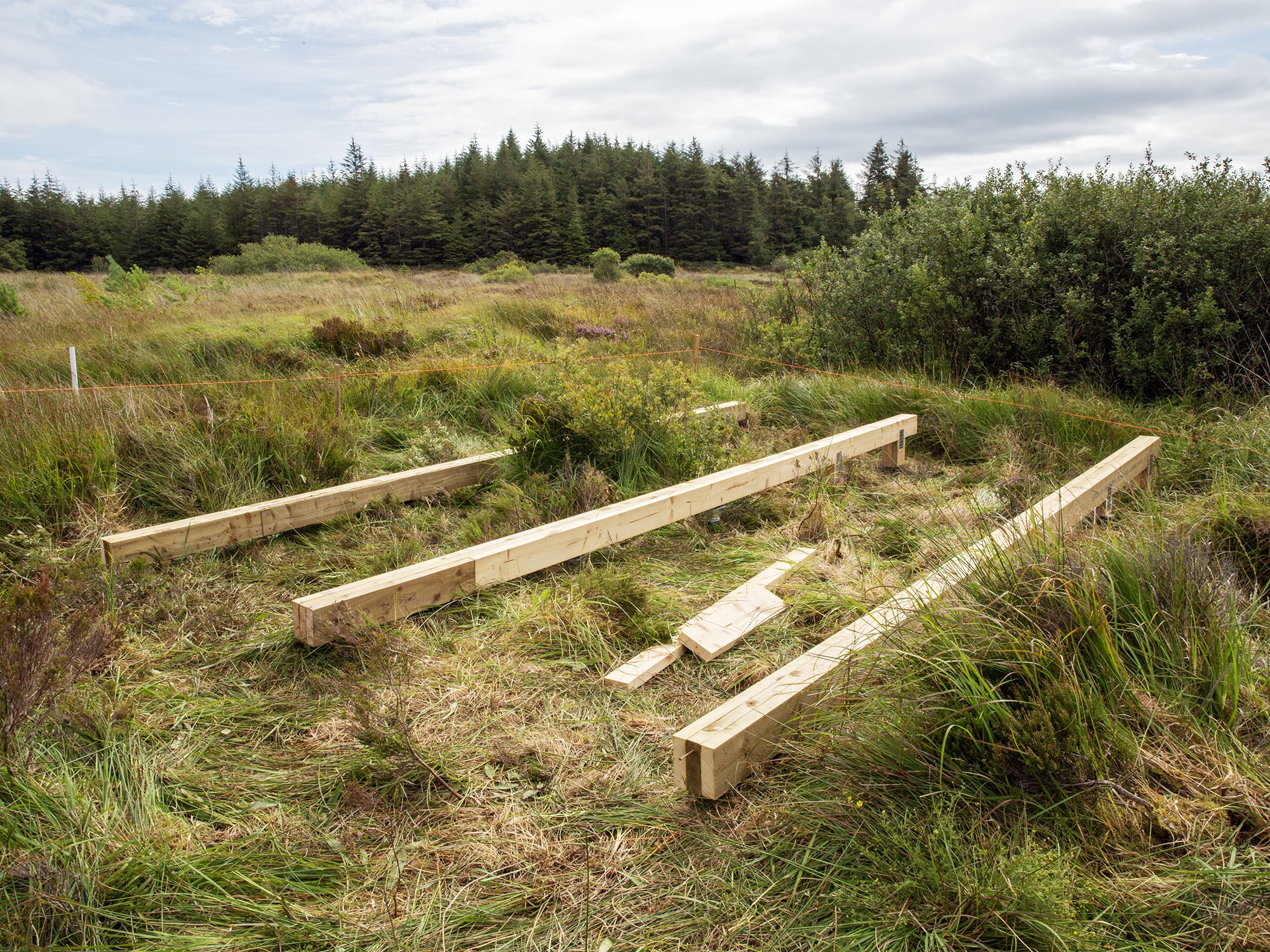 Bog Bothy Workshop, Common Knowledge Centre, Co. Clare, 2024.