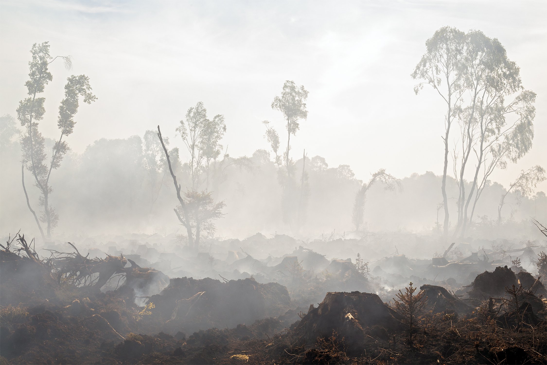 Aftermath of bog fire #2. From the fringes of an accidental bog fire during hot weather that threatened local houses and businesses, near Mucklon, County Kildare, Ireland. Bealtaine miniseries within Beneath | Beofhód, 2020. Shot with a Canon 5D Mk3 