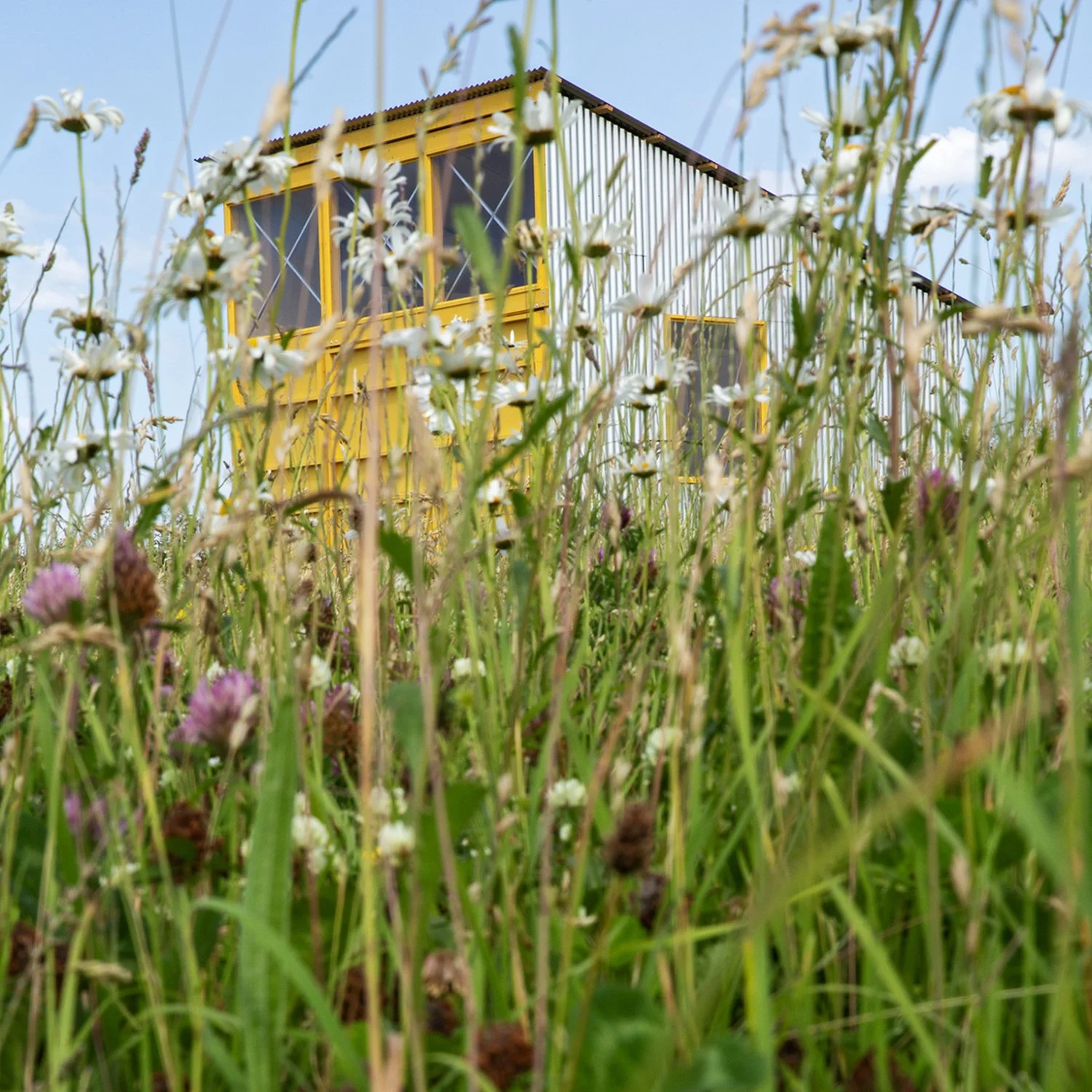 Bog Bothy Project