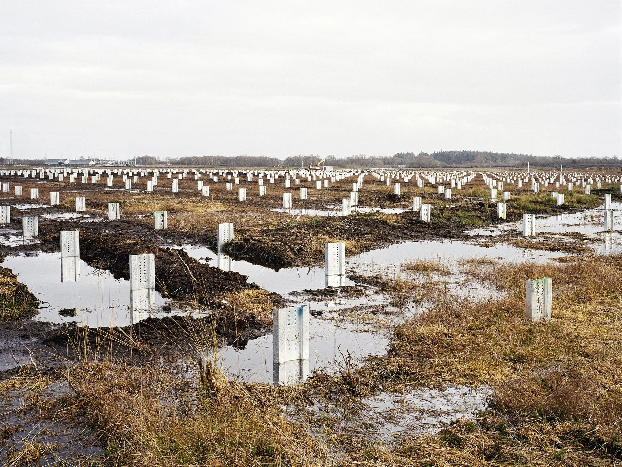 Timahoe South solar farm, County Kildare, 2024.