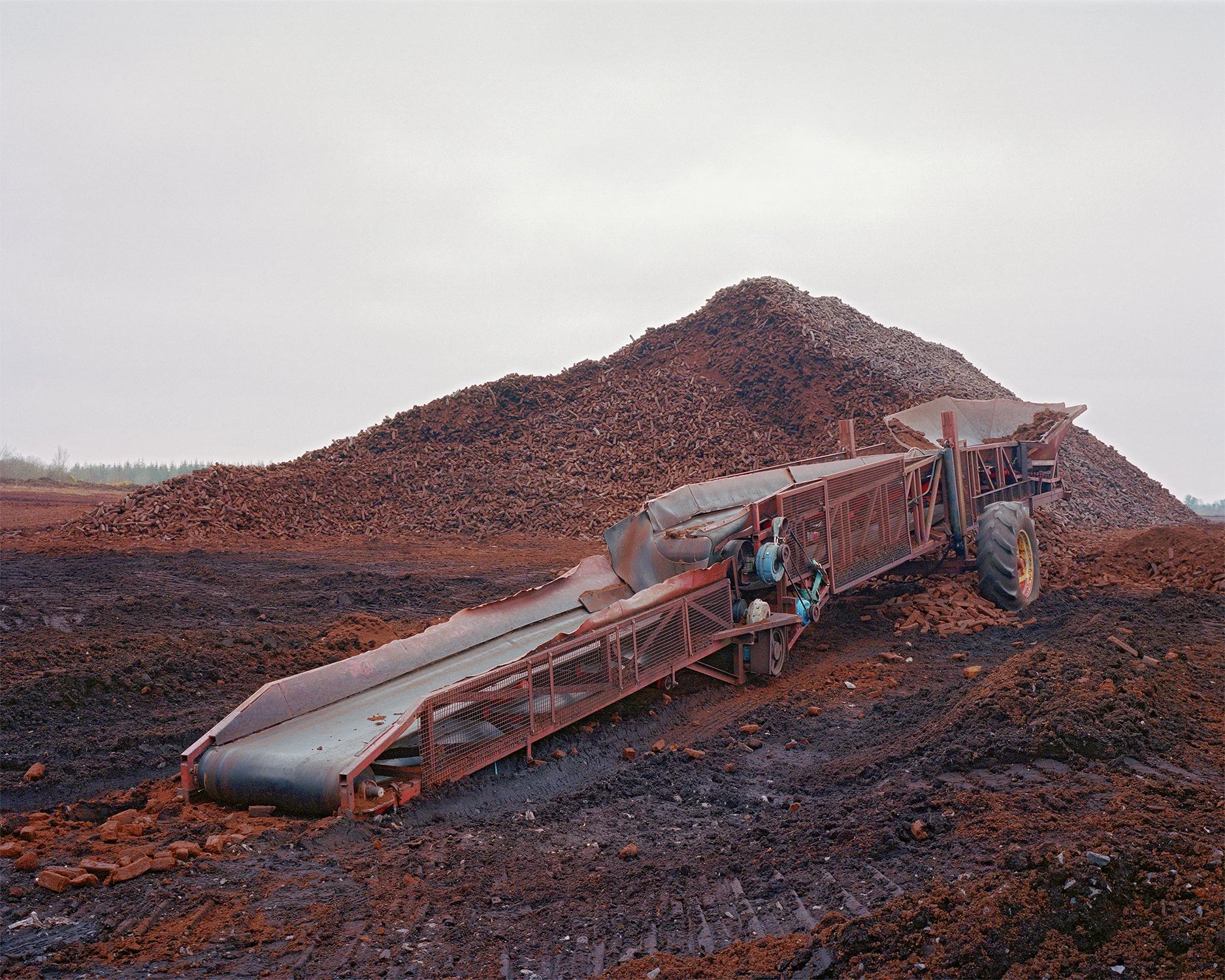 Mechanical hopper and conveyor belt for loading turf for horticultural use by private contractor, County Offaly, 2020.