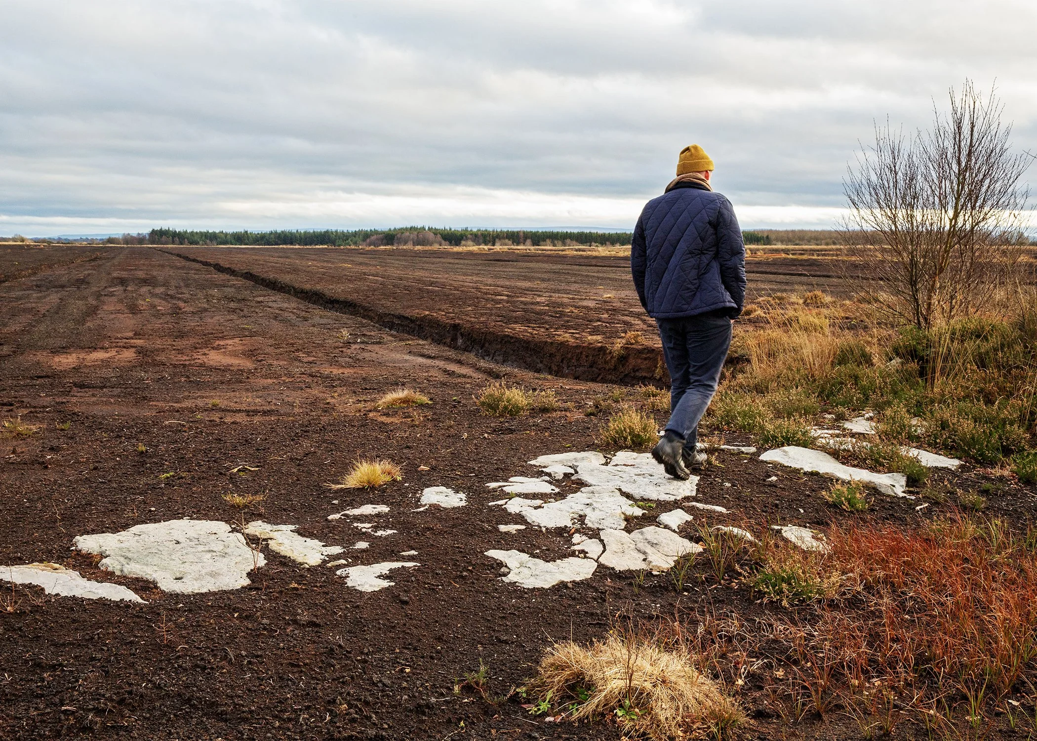 Lemanaghan Bog, Co. Offaly, 2023.