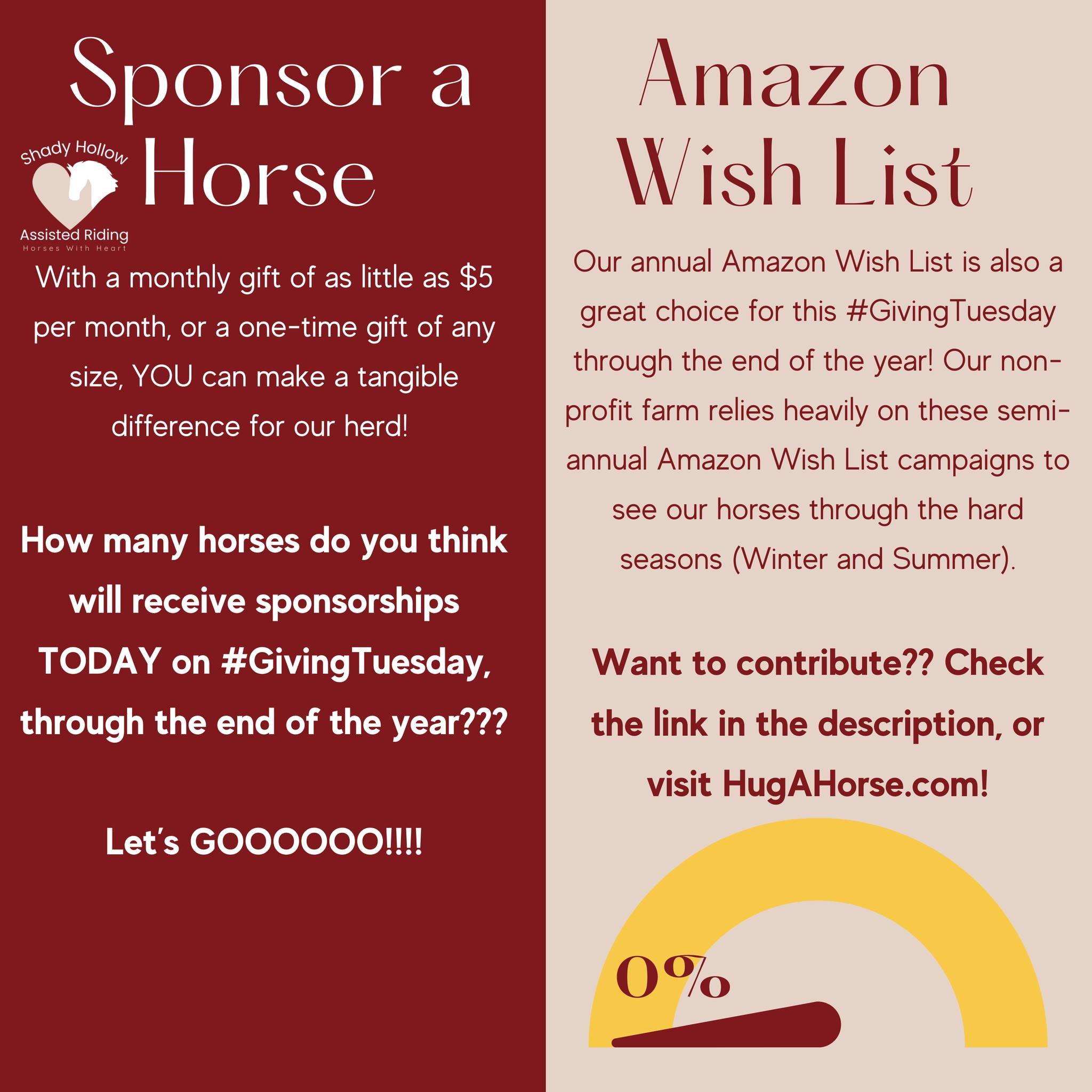 It's #GivingTuesday, and we could really use your help! We have 2 initiatives running through the end of the year. First, it's our extremely important Amazon Wish List! If you've been following us for a while, you know that we do our Amazon Wish List