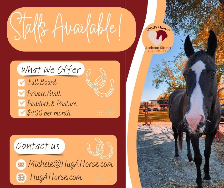 Boarding at SHAR is ideal for the casual rider or retired horse.  Our laid back, relaxed atmosphere fosters a calm, cool horse.  Conveniently located just steps from the Schuylkill River Trail or jump on the trails that surround our farm.  Access to 