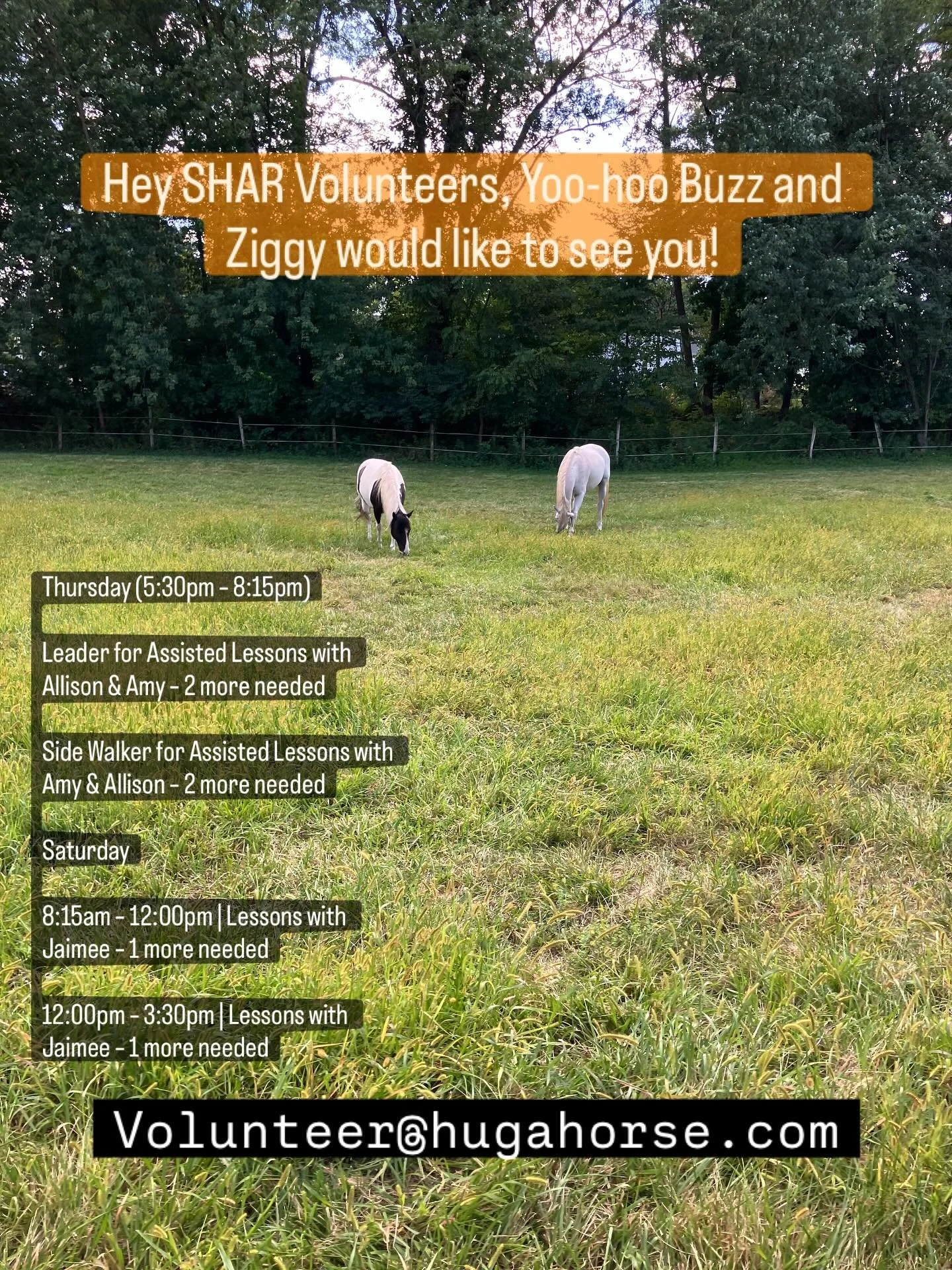 Thursday and Saturday need volunteers, email volunteer @hugahorse.com or use VicNet to sign up