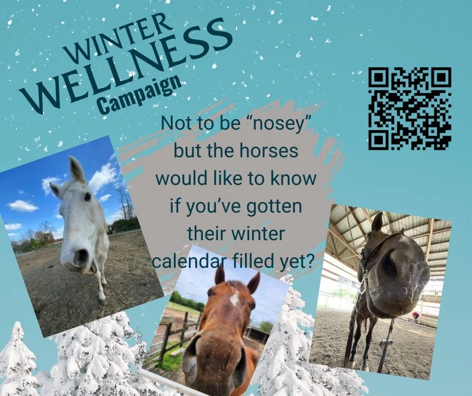 Donations can be made easily with the QR Code.  Help us keep our horses cozy and feeling loved this coming winter. A donation of $500 fills their calendar but any amount is greatly appreciated!