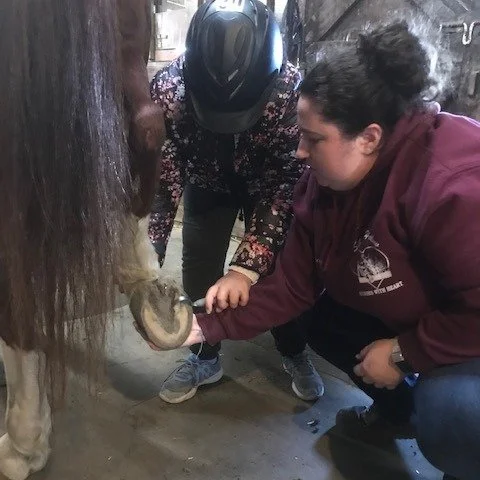 It's that time of the year... seasons changing mean it's abscess and thrush time. We've been hit hard this past week with 3 horses needing soaking and wrapping to keep them feeling good.  We've run out of Vet Wrap!  If you can help us out, send a cas