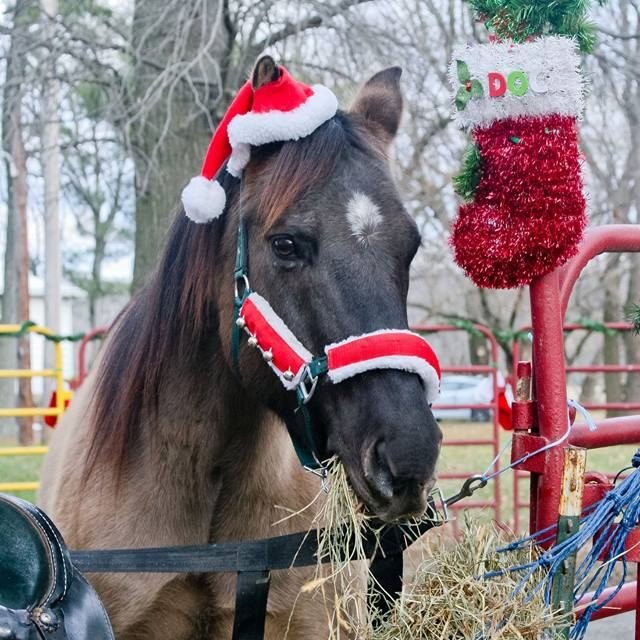 Happy Holidays from Smokey and all of us here at Shady Hollow!