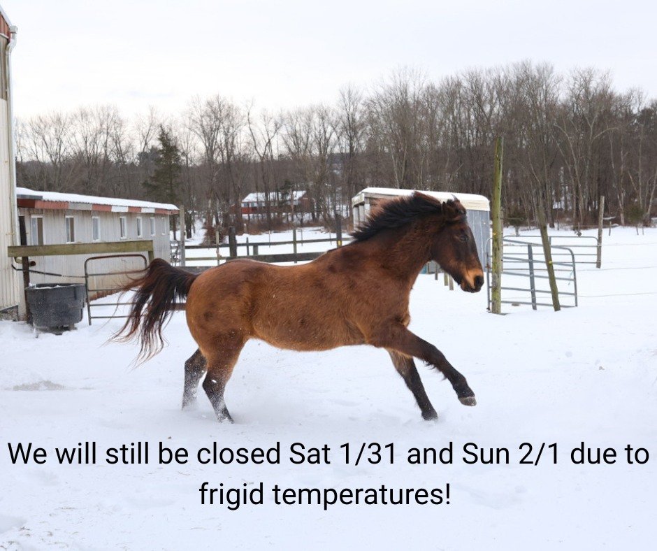 We will still be closed Sat 1/31 and Sun 2/1 due to frigid temperatures.  We hope to resume normal equine activities on Monday 2/2.  Please message us before coming to the farm!