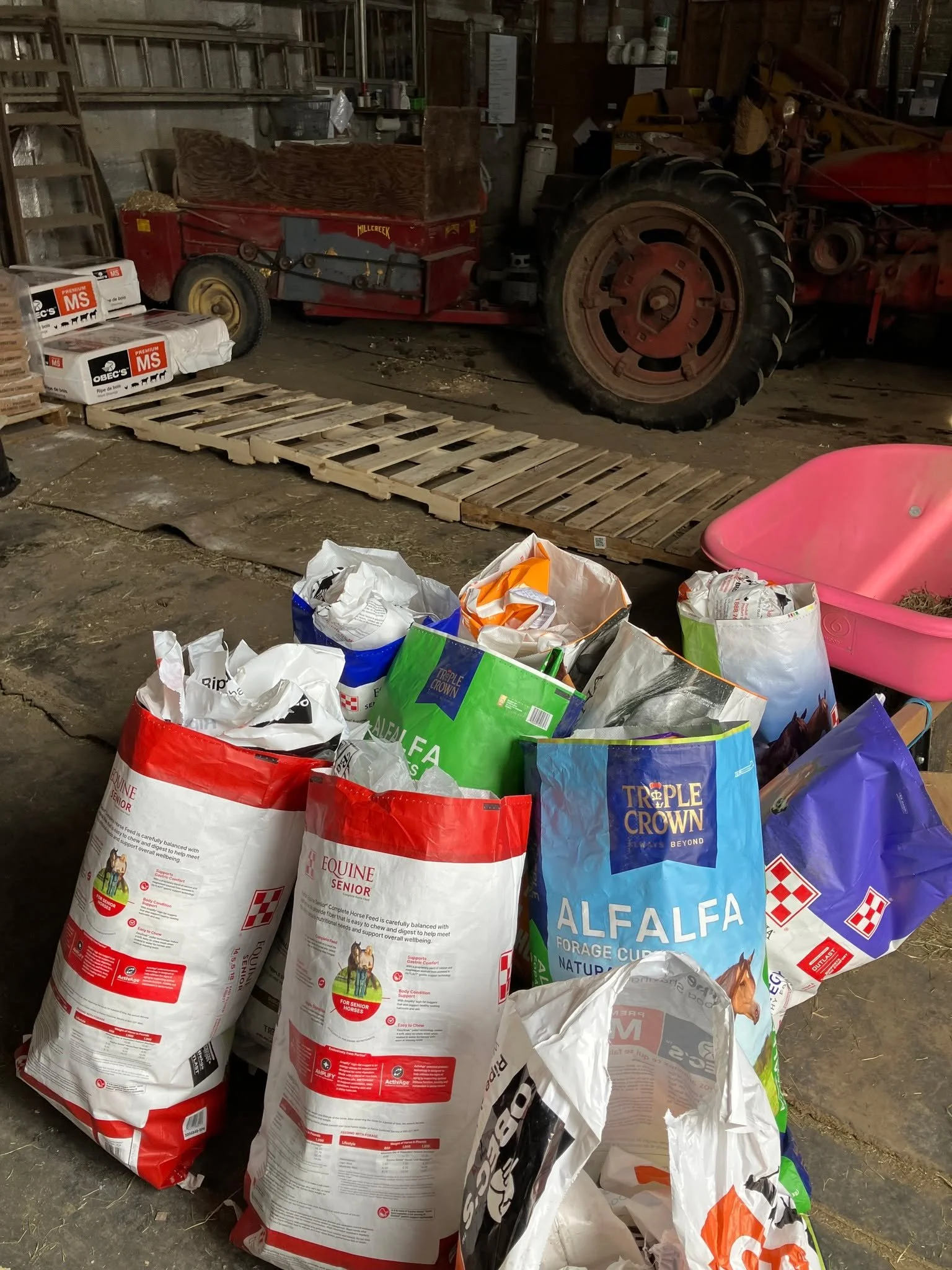 Some people panic when there's a storm coming and there's no milk or bread in the fridge.  We panic at the barn when we open the storage room and the bedding is all but empty.  Please consider donating today to help us raise money to fill the barn in