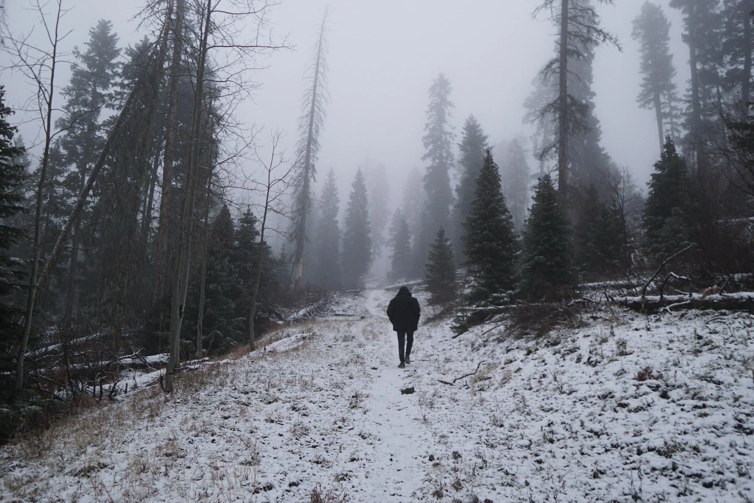 COLORADO