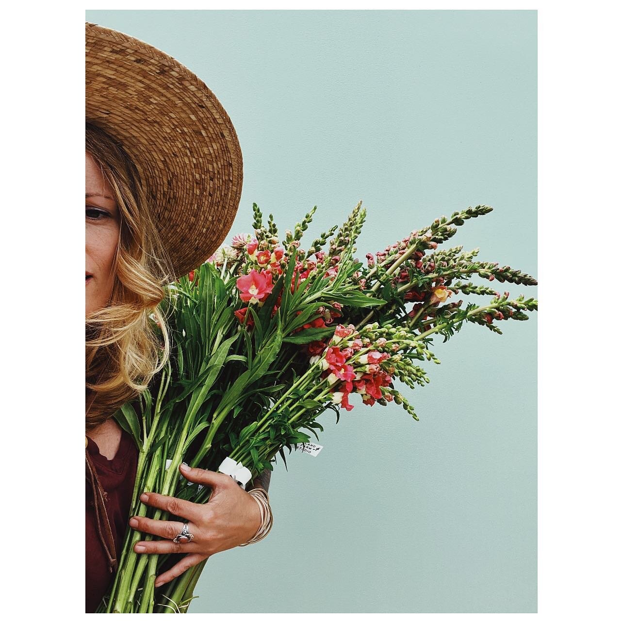 chantilly + early sunrise snaps along with a fresh and sturdy crop of strawflower in sunset tones + another round of long stemmed sweetpeas headed to the market for tomorrow morning. xo the ifs crew🫶🏼 #islandfarmstudio #womenwhofarm #flowerfarm #cu