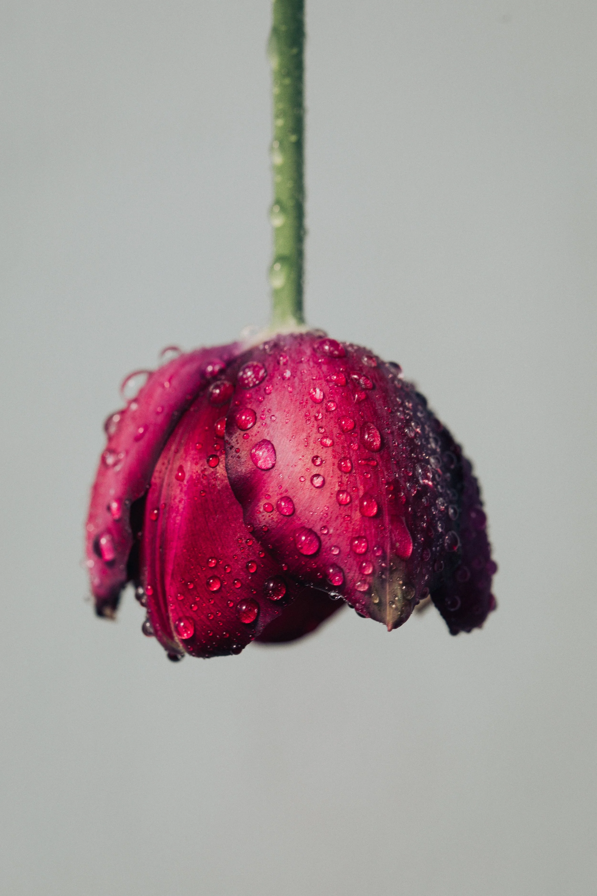 DP3A5065.jpg