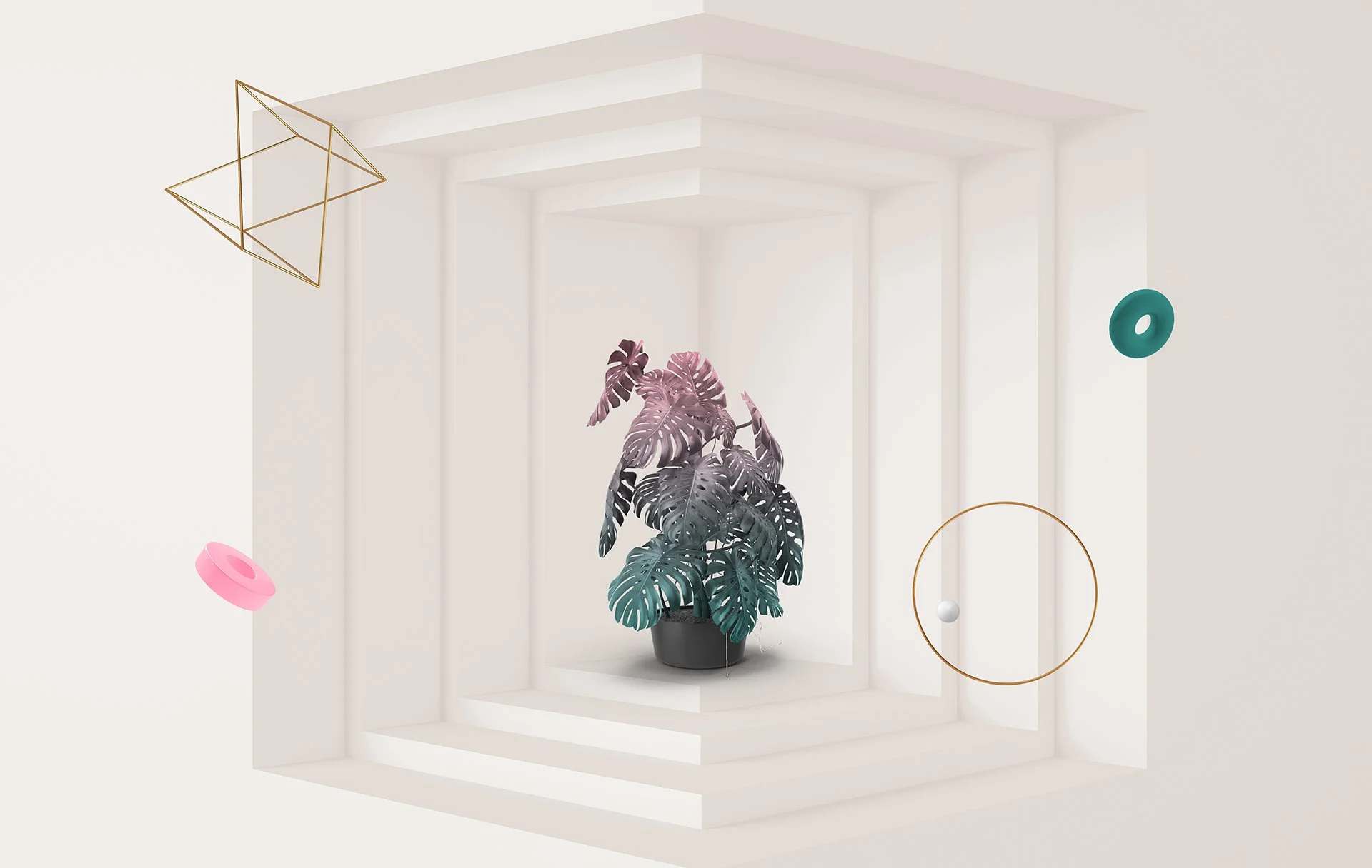 Website Slide - TAOB Case Study - Edward Campbell Studio - Brand Identity - Art Direction