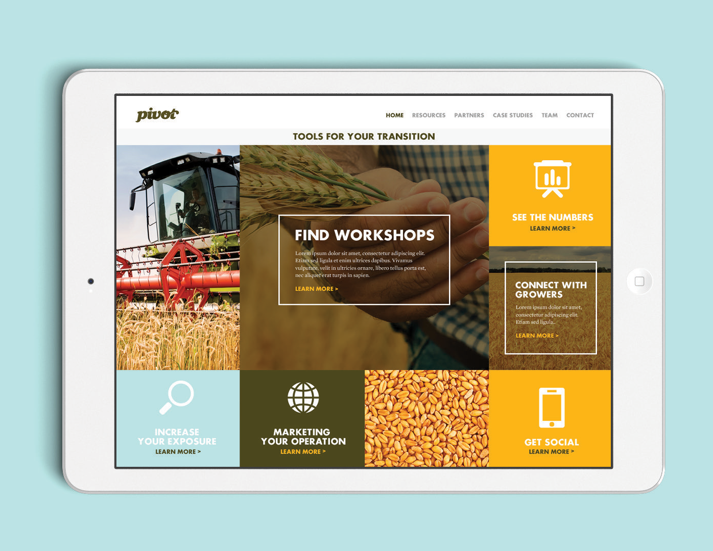 ORAB_Pivot-Campaign-Presentation_Ipad2.png