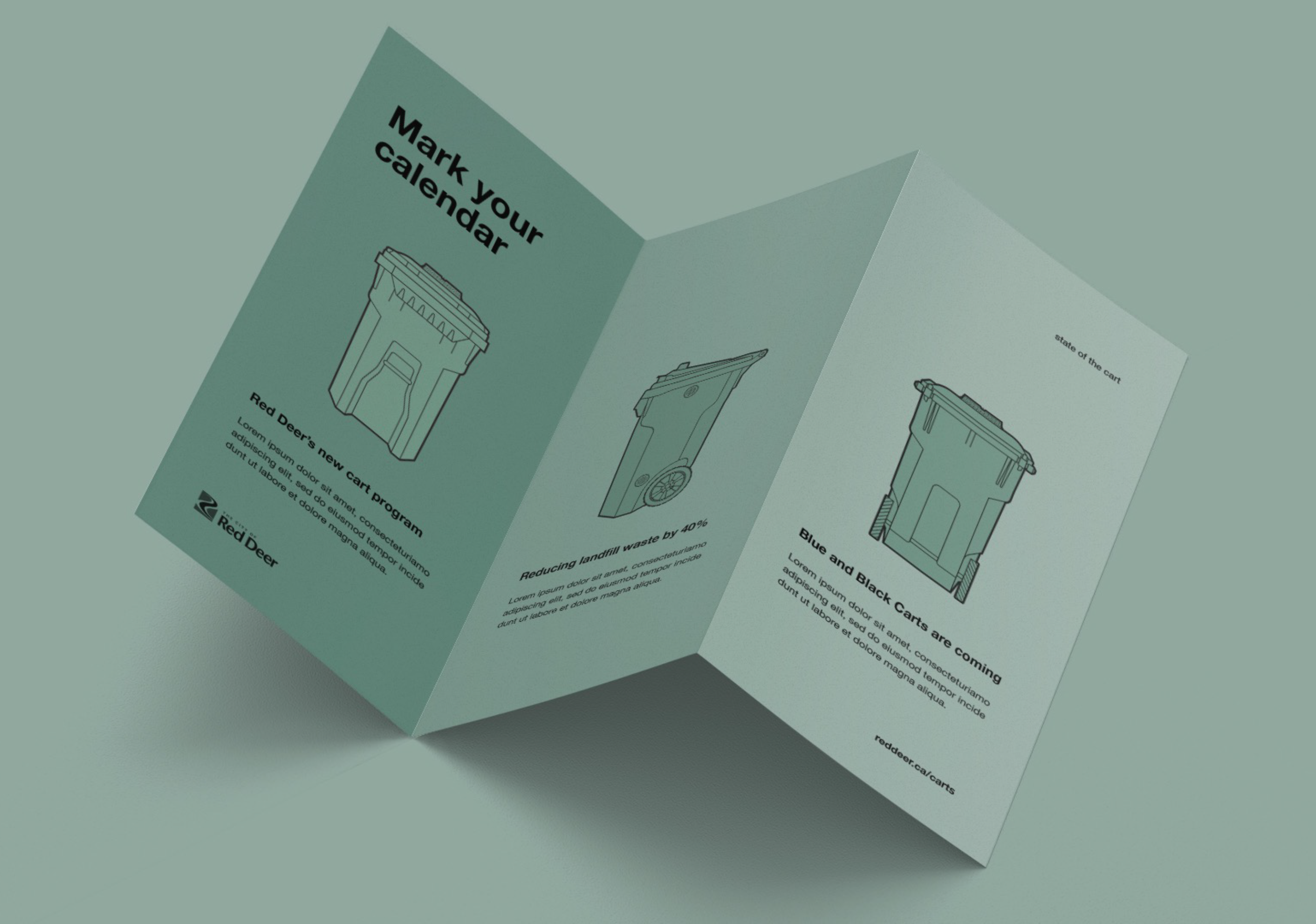 RedDeer_CartCampaign_Brochure.png