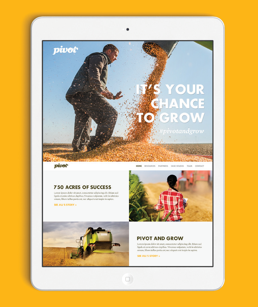 ORAB_Pivot-Campaign-Presentation_Ipad3.png