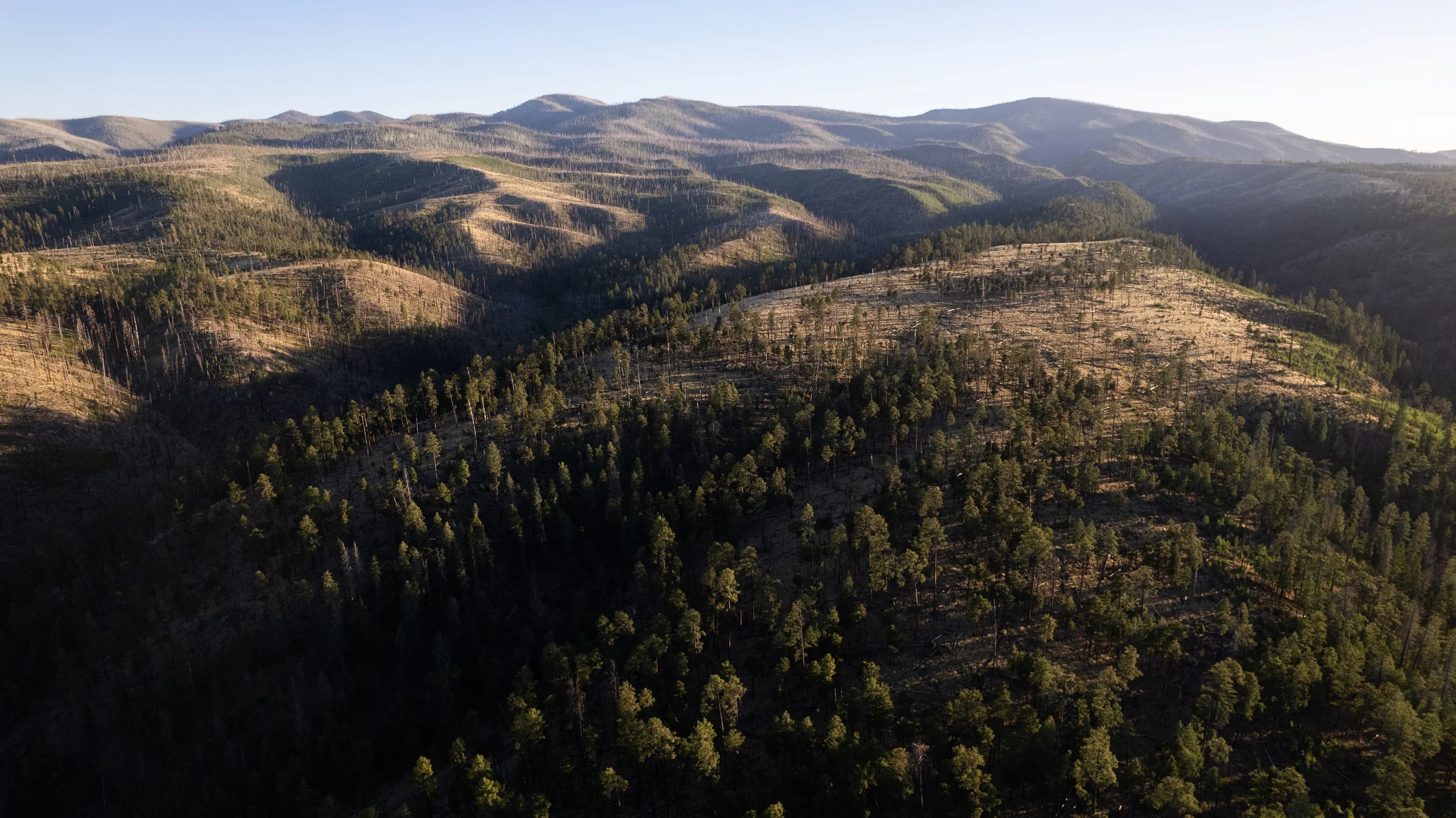 DJI_0535.jpg