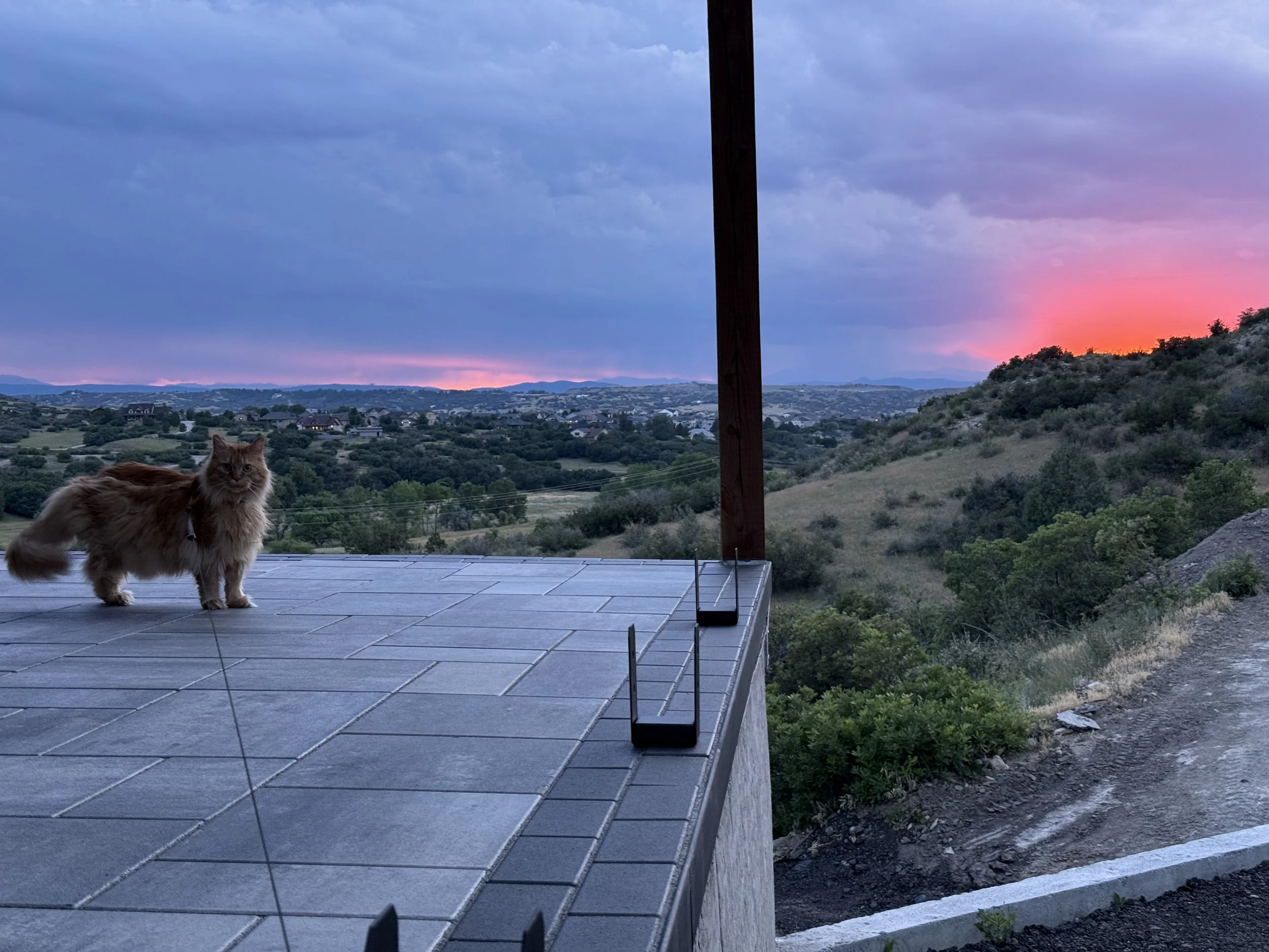 Time to start installing the railing on the patio. Hobbs is enjoying the view while the railing brackets go in.