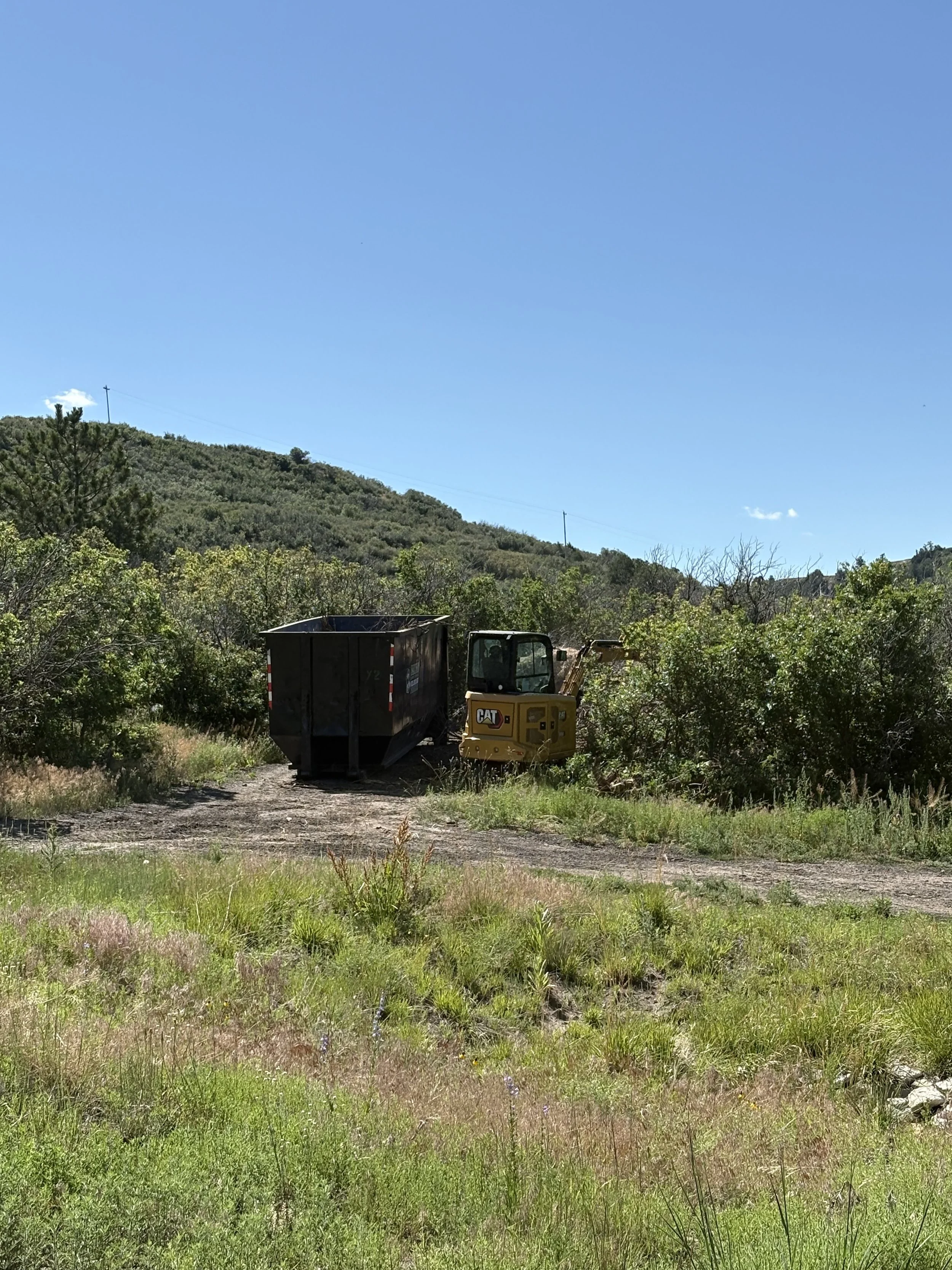 All the scrub oak we had to clear now needed to be removed before fire inspection. Time to rent another dumpster!
