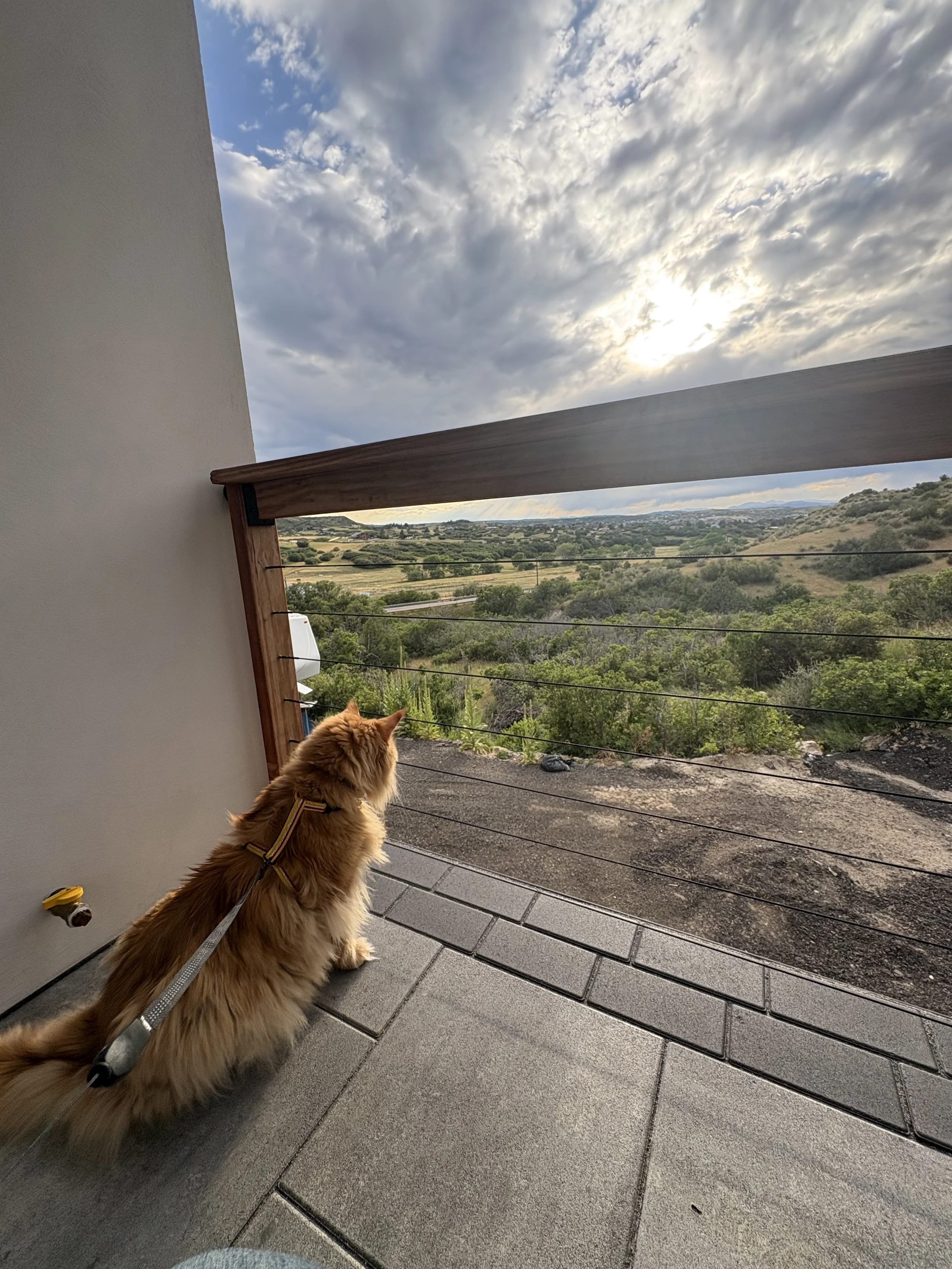 Hobbs agreed this was the best view!