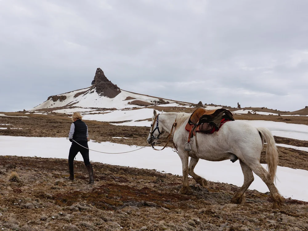 Patagonia horseback riding