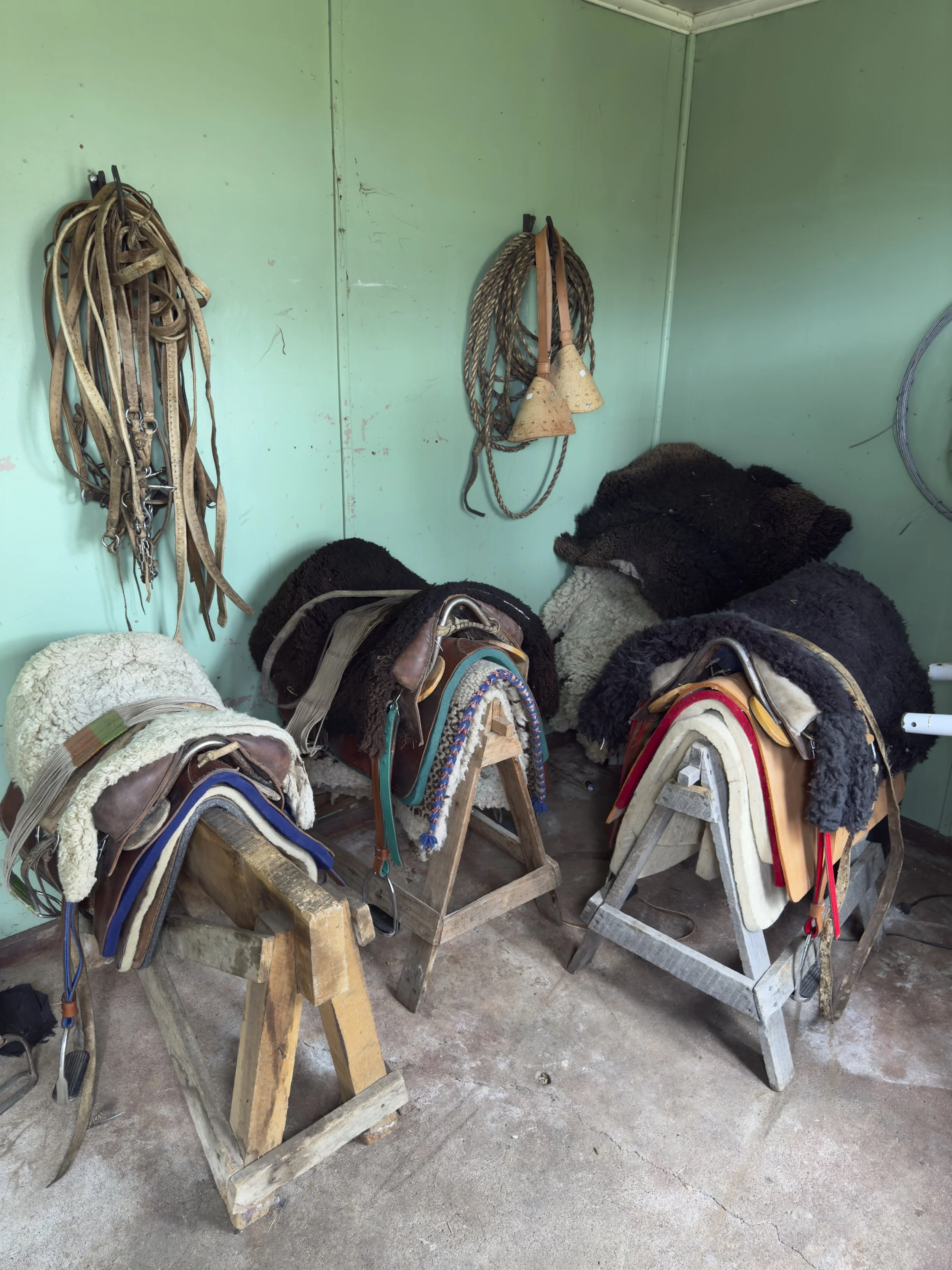 Traditional Chilean gaucho saddles and riding equipment used by Patagonia Horse Trips, carefully selected for the comfort of both horse and rider.