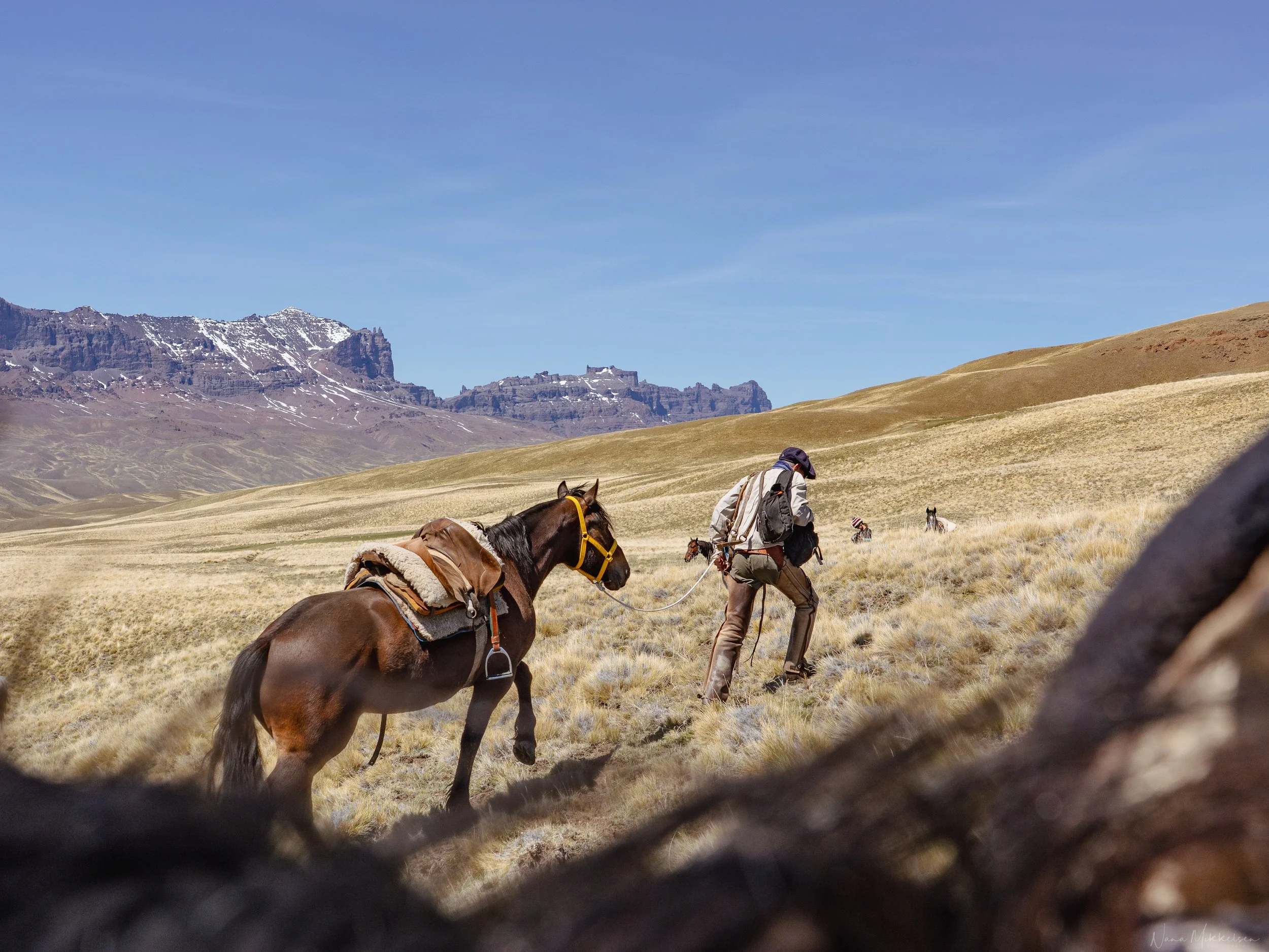 BAGUALES DAY 2-59.jpg