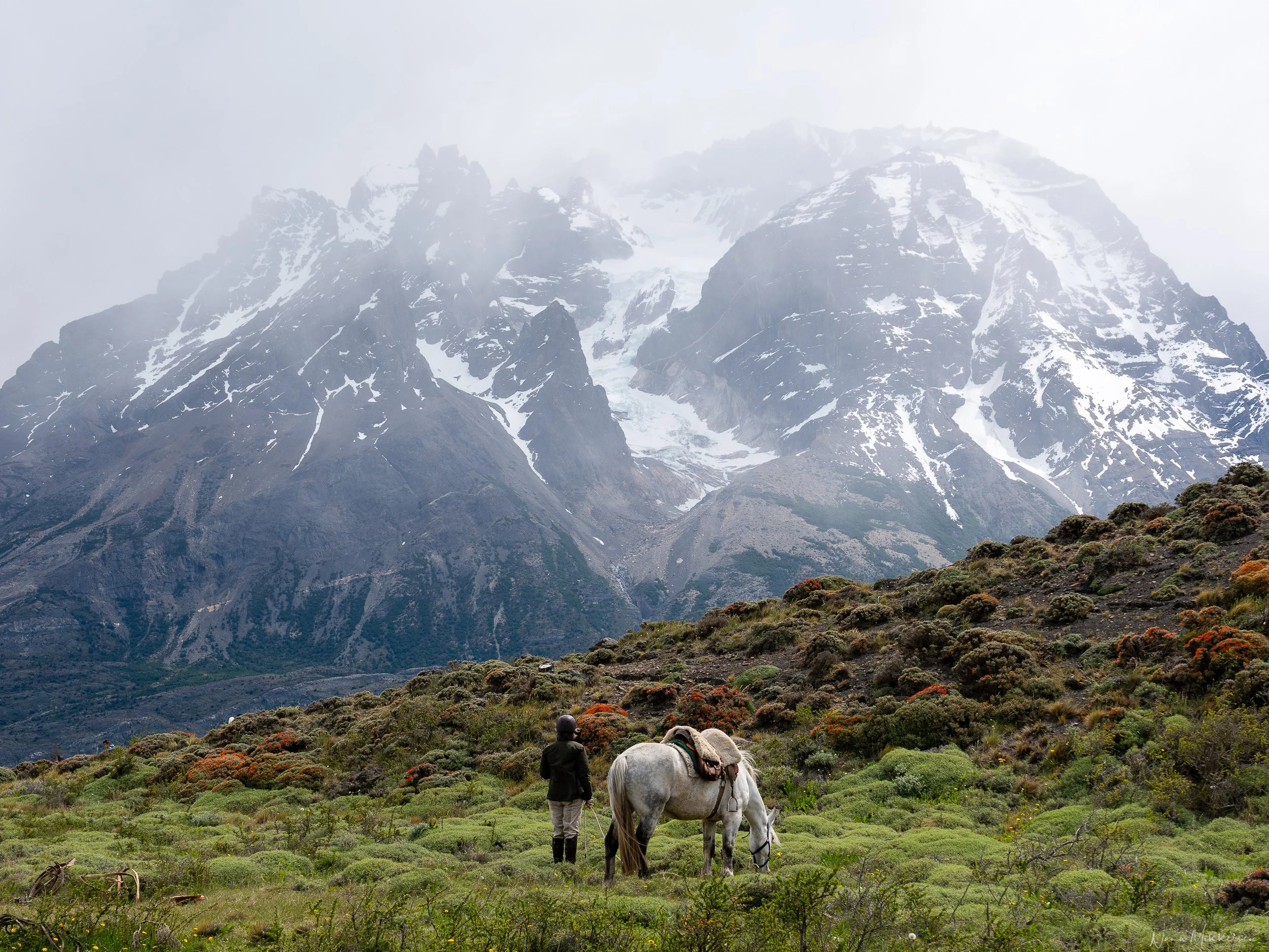 Osvaldo Mella — Patagonia Horse Trips