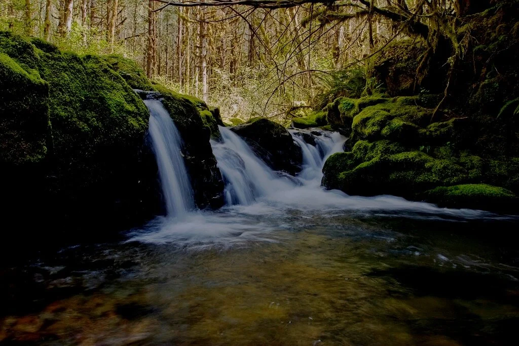 Hardesty_Brochure_Options_14.jpg
