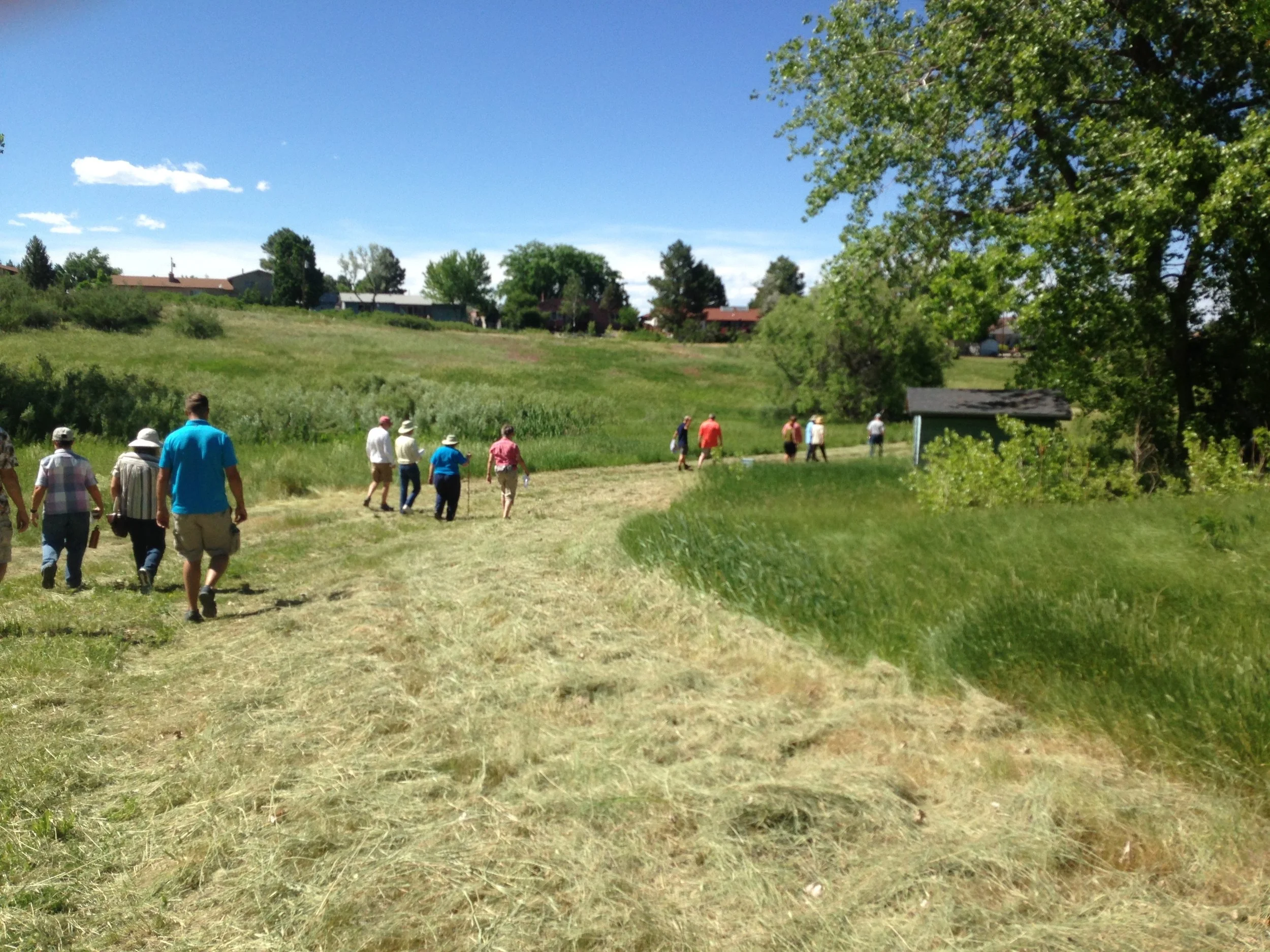 Field trip to the former golf links