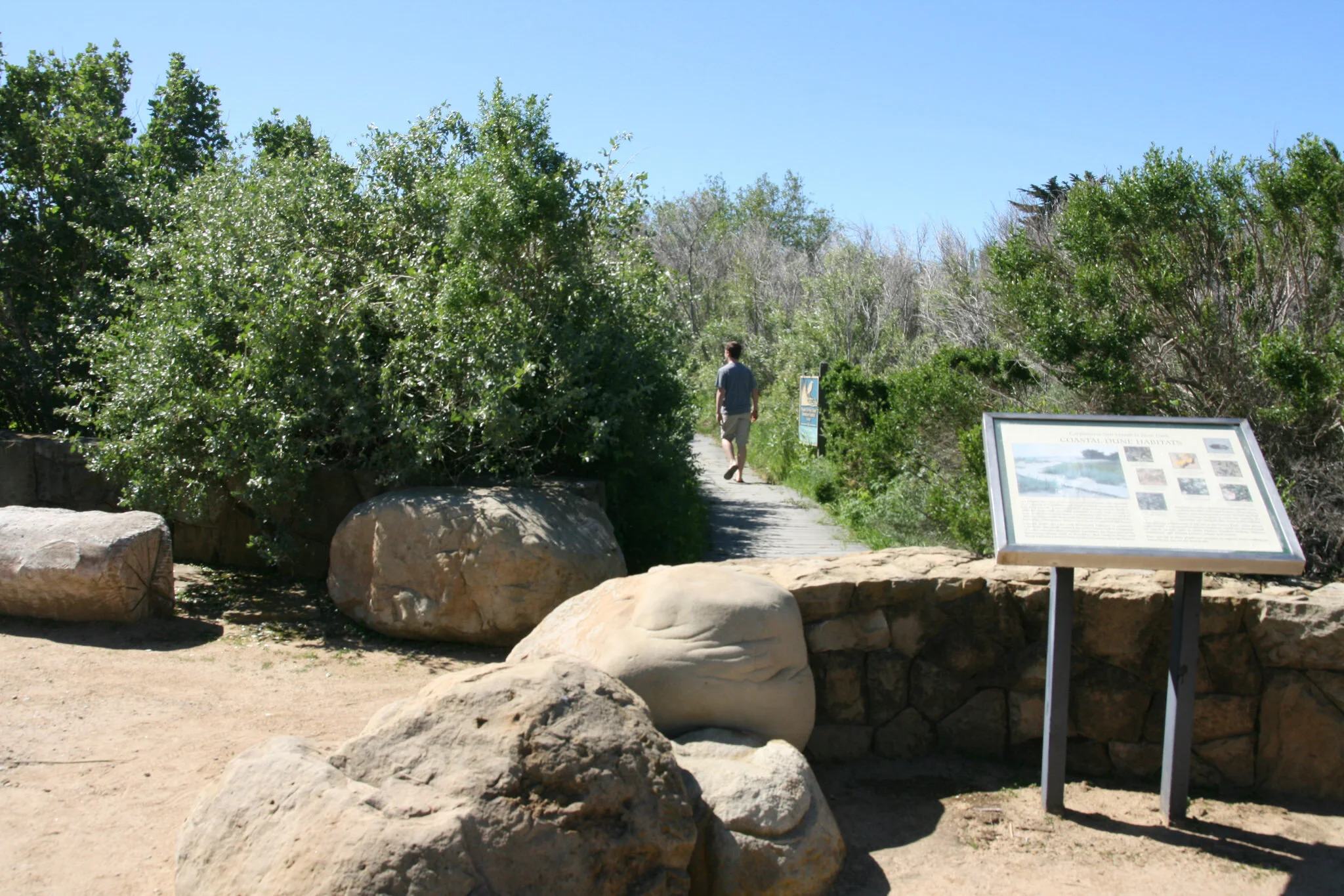 25451512504_e8edfe29ab_k.jpg