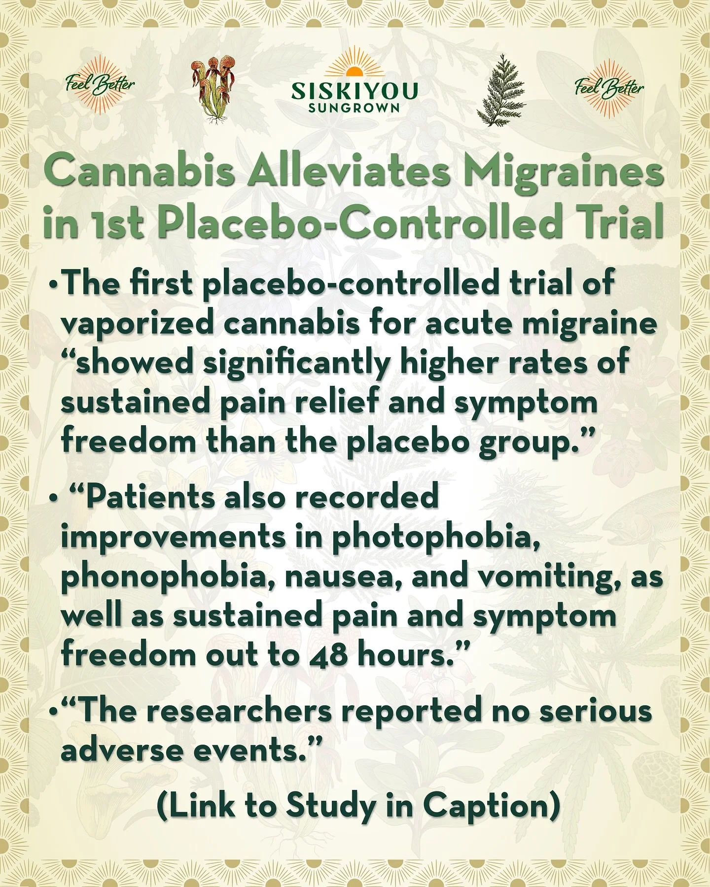 Cannabis Cuts Migraine Symptoms in First Placebo-Controlled Trial

The first placebo-controlled trial of vaporized cannabis for acute migraine demonstrated that THC and a THC/CBD blend &ldquo;showed significantly higher rates of sustained pain relief