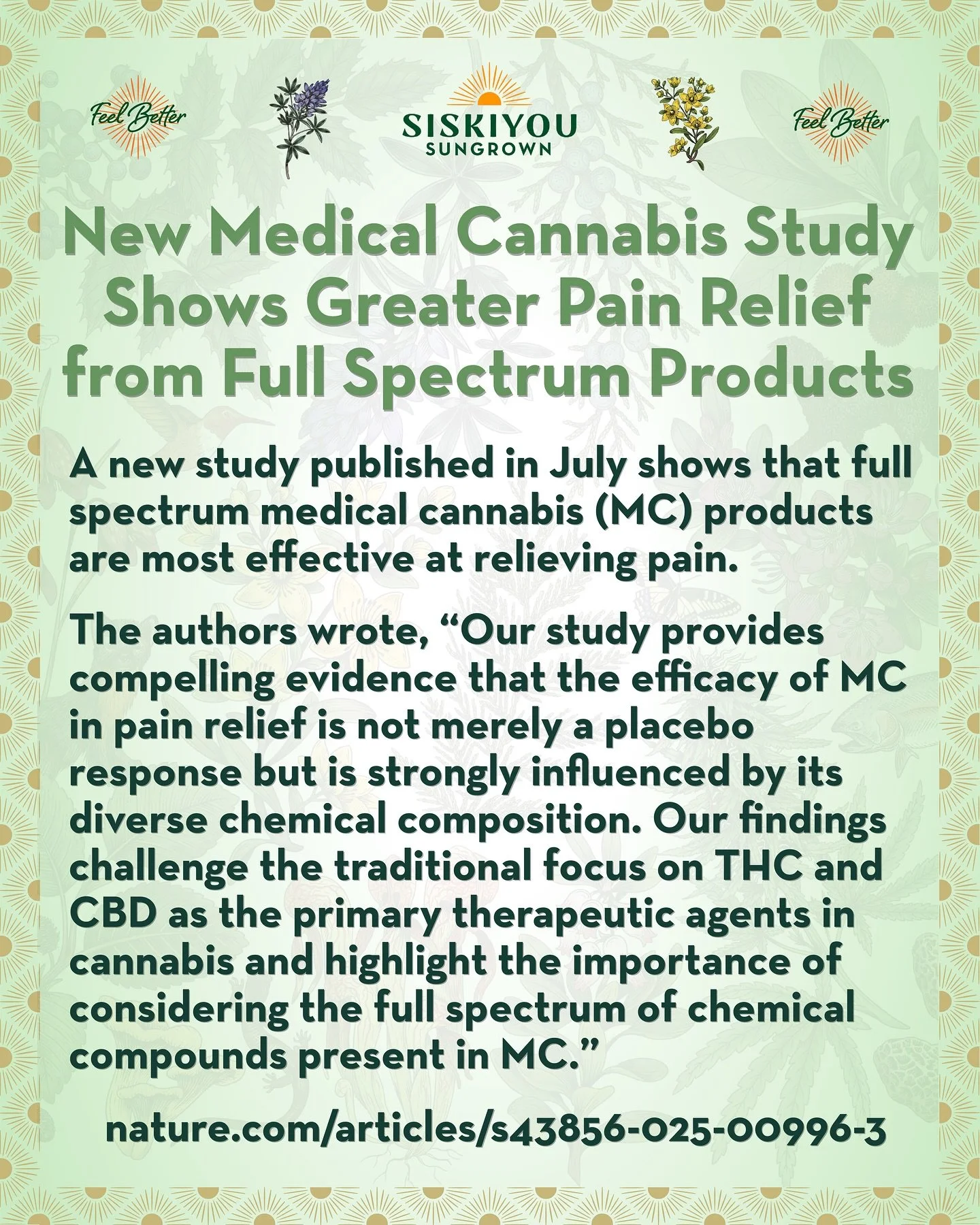 New Medical Cannabis Study: More Pain Relief from Full Spectrum Products

A new study published in July shows that full spectrum medical cannabis (MC) products are most effective at relieving pain.

Full spectrum cannabis products are those which con