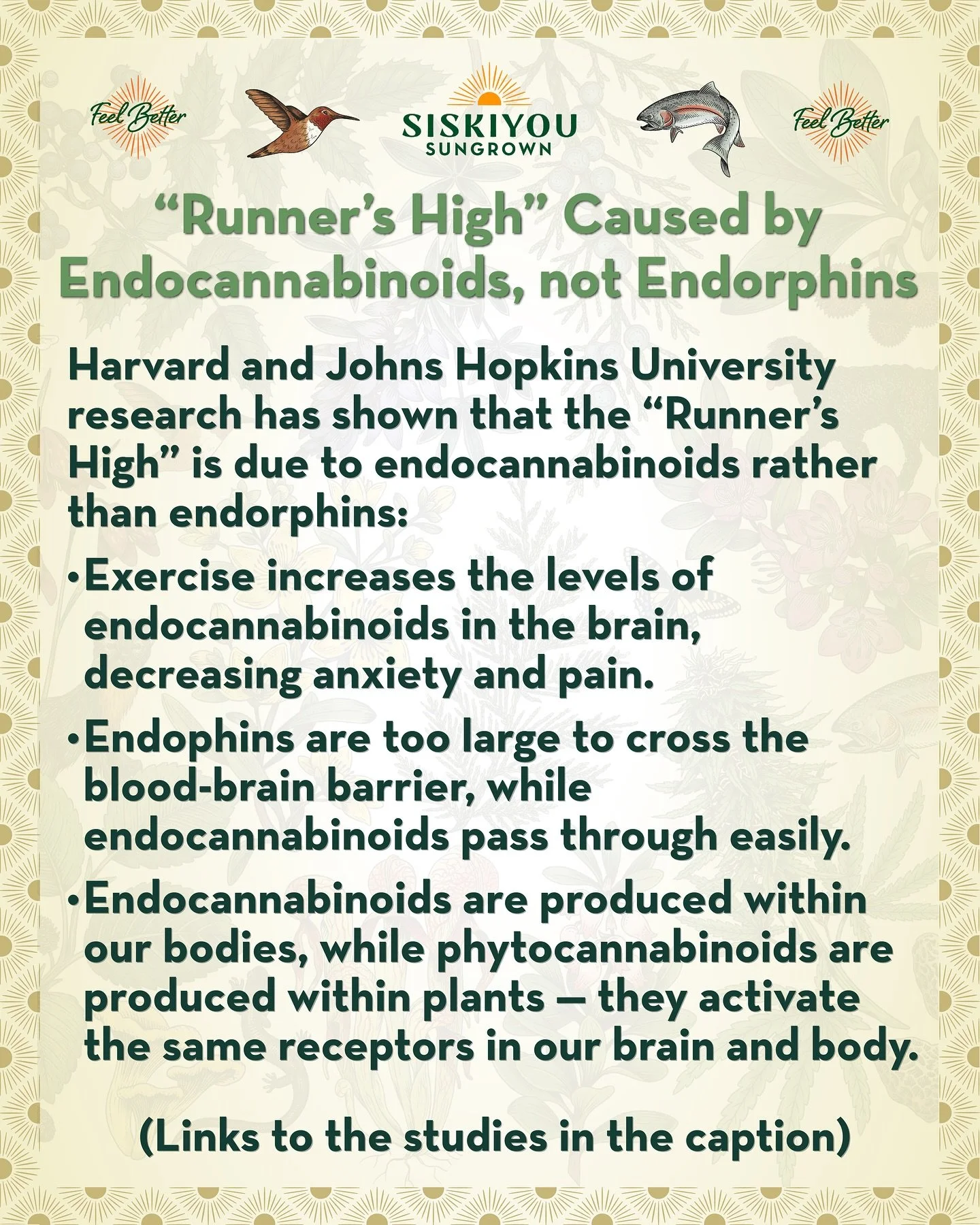 Runner&rsquo;s High Caused by Endocannabinoids, not Endorphins

Harvard and Johns Hopkins research has shown that the &ldquo;Runner&rsquo;s High&rdquo; is due to endocannabinoids rather than endorphins:

Endophins do not cross the blood-brain barrier