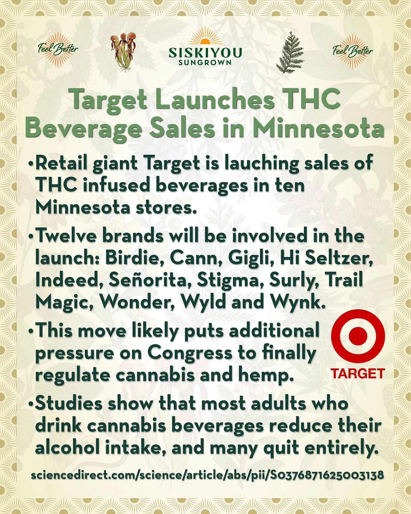 Target Begins THC Beverage Sales in Minnesota

Retail giant Target is lauching sales of THC infused beverages in ten Minnesota stores.

Twelve beverage brands will be involved in the launch: Birdie, Cann, Gigli, Hi Seltzer, Indeed, Se&ntilde;orita, S
