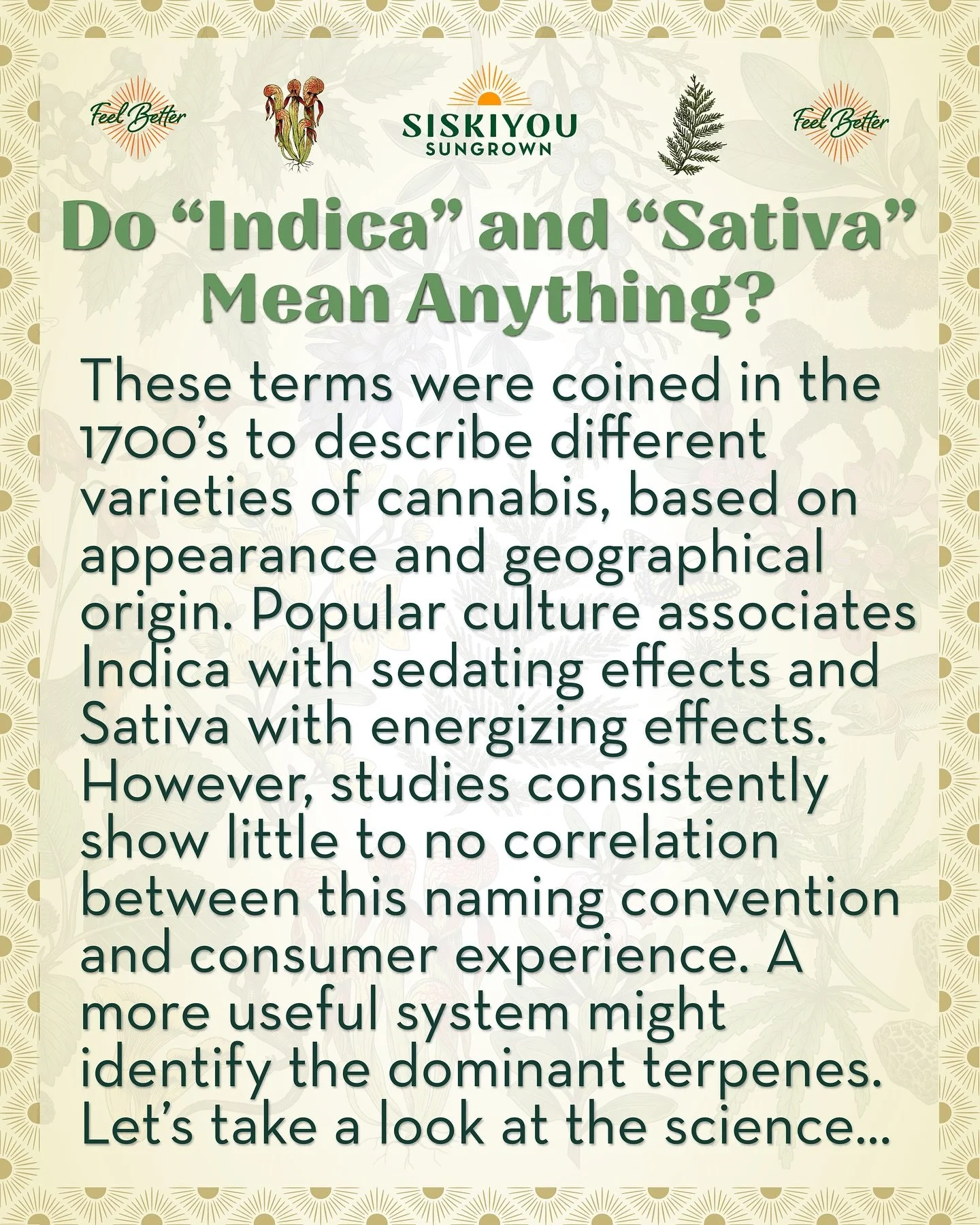 The terms &ldquo;Indica&rdquo; and &ldquo;Sativa&rdquo; were coined in the 1700s to describe different varieties of cannabis: Indica describing short plants with broad leaves originating from the Hindu Kush mountains of India, and Sativa describing t