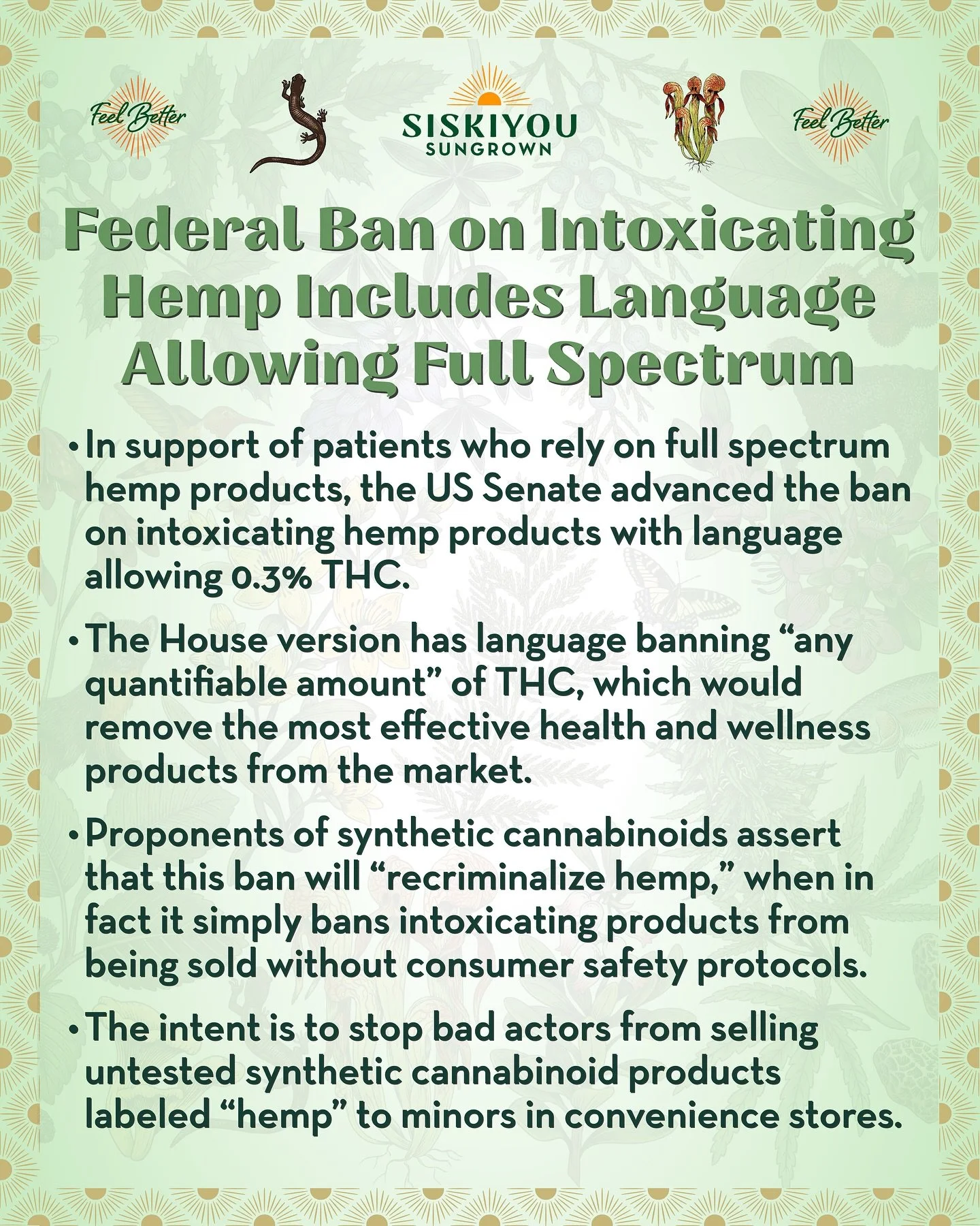 Federal Ban on Intoxicating Hemp Includes Language Allowing Full Spectrum Products

In support of patients who rely on full spectrum hemp products, the US Senate advanced the federal ban on intoxicating hemp products with language allowing 0.3% THC.

