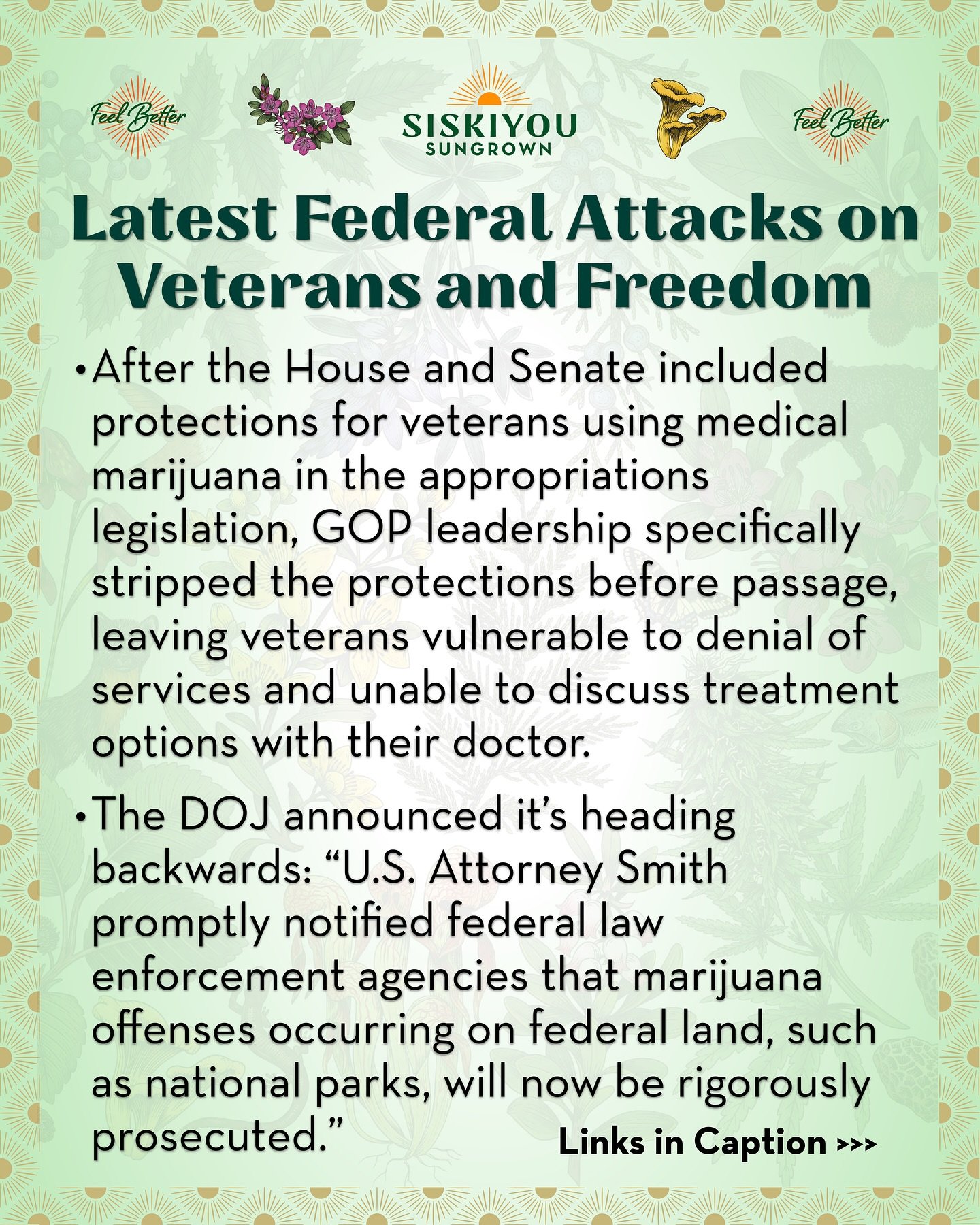 Latest Federal Attacks on Veterans and Freedom

After the House and Senate included protections for veterans using medical marijuana in the appropriations legislation, GOP leadership specifically stripped the protections before passage, leaving veter